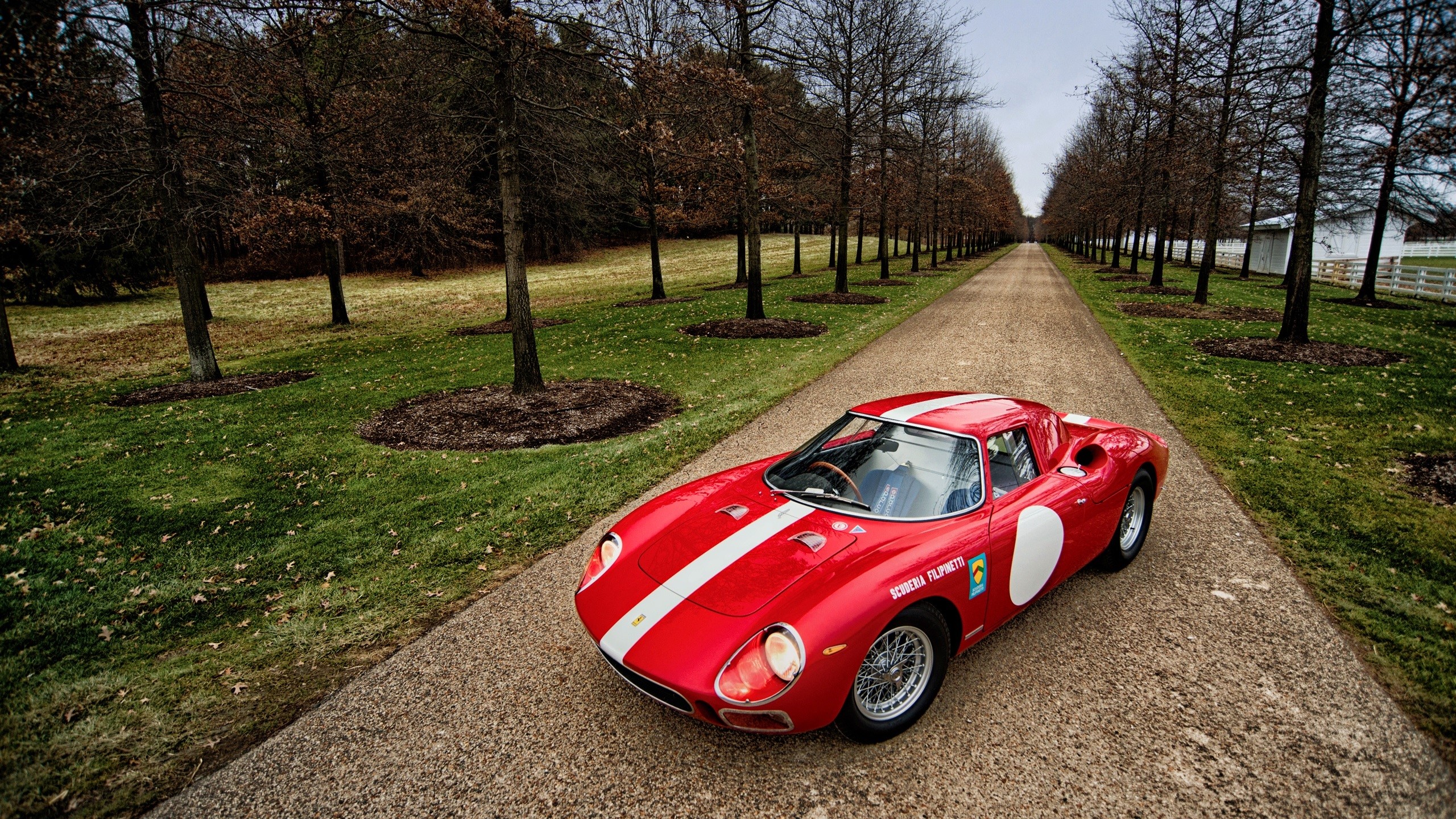 Red 1964 Ferrari 250 LM on a tree-lined gravel road HD Wallpaper