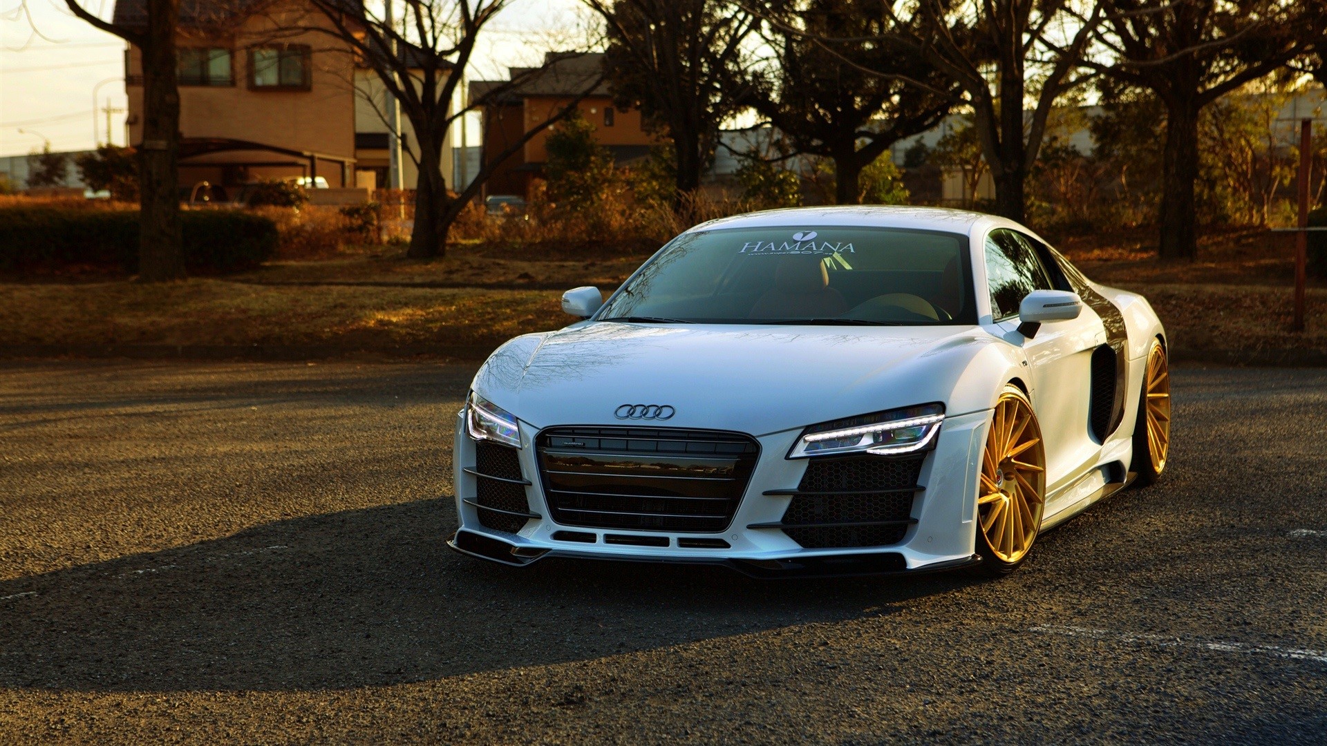 White Audi R8 with gold rims parked on asphalt HD Wallpaper