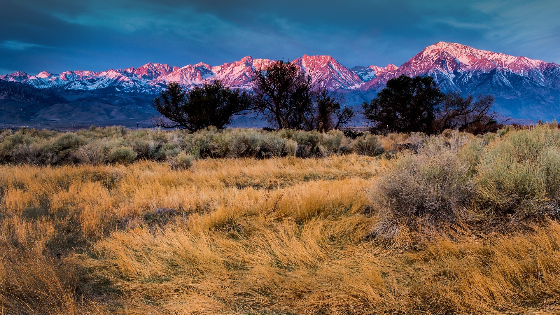 Sunrise over snowy mountains and dry grass field HD Wallpaper