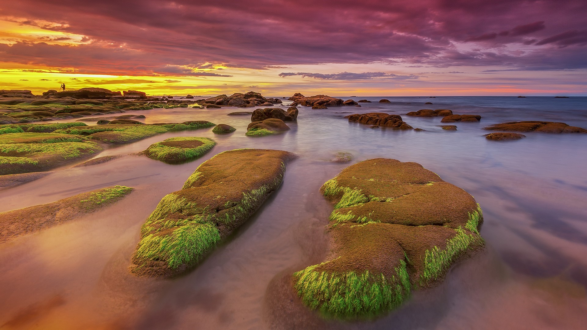 Sunset over mossy rocks and ocean with dramatic clouds HD Wallpaper