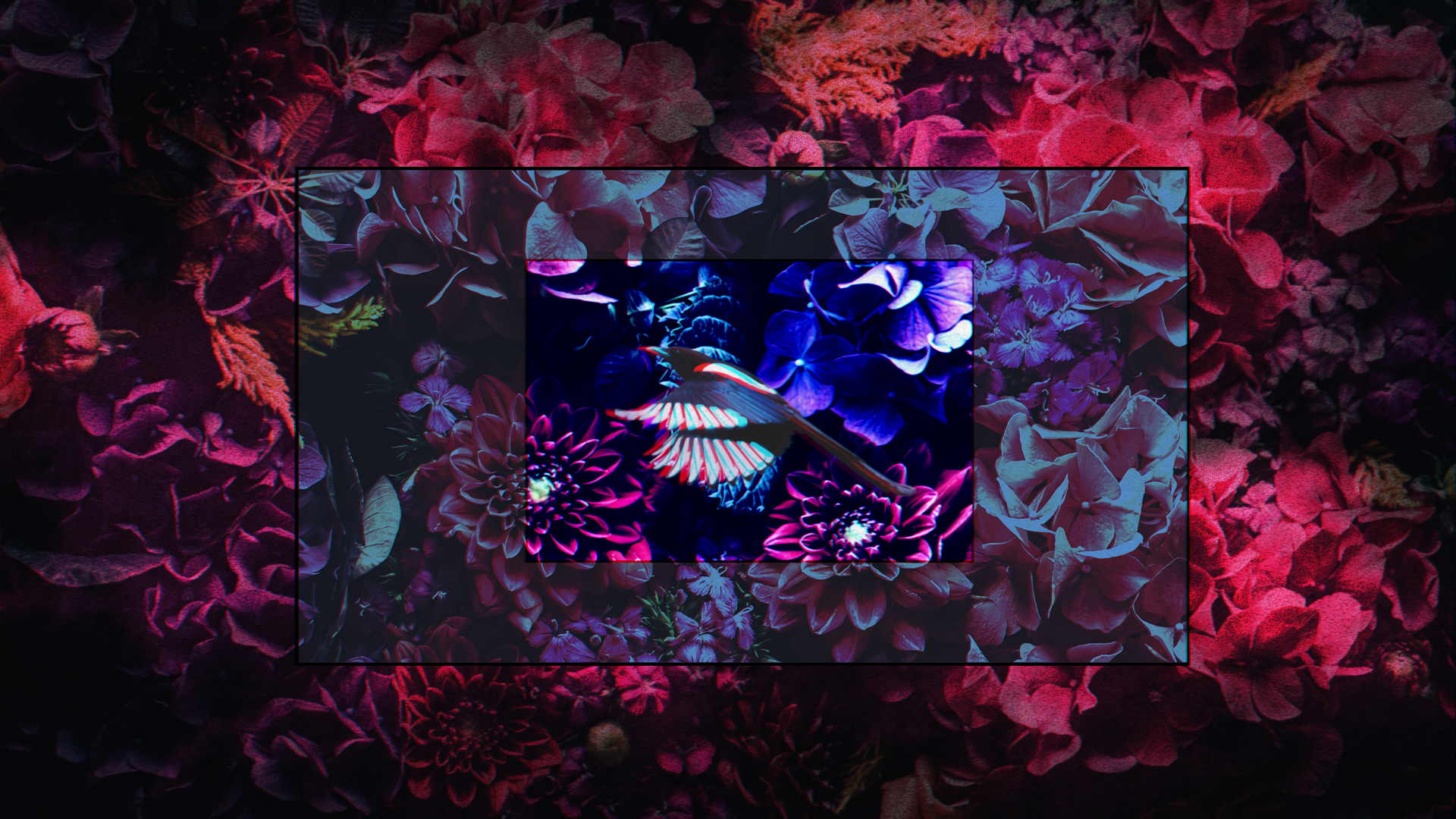 Bird with chromatic aberration over flowers HD Wallpaper