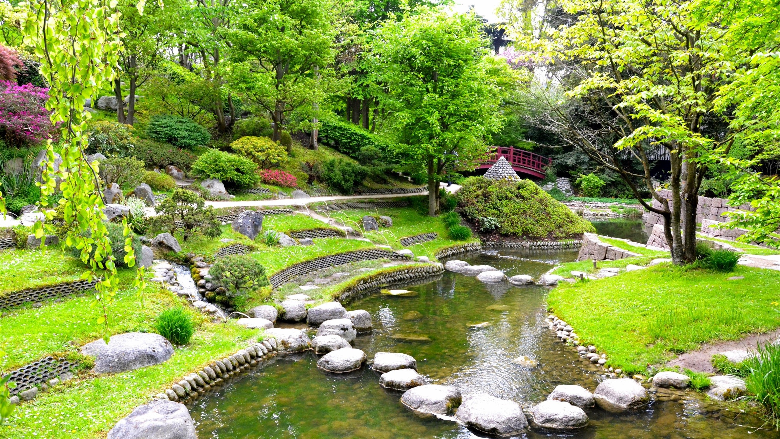 Japanese garden with a stream and lush greenery HD Wallpaper