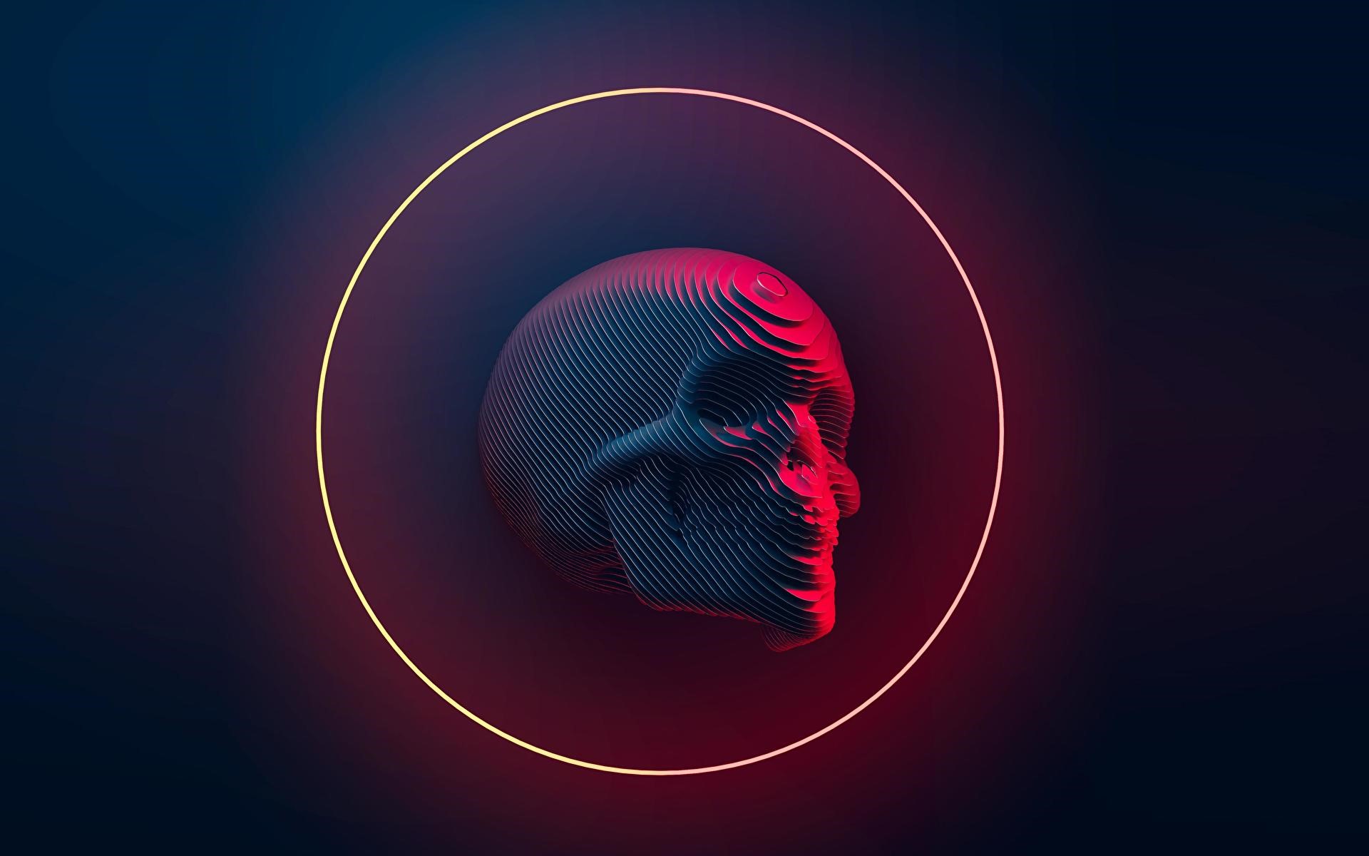 Digital art skull with neon circle by Eduard Leszczynski HD Wallpaper