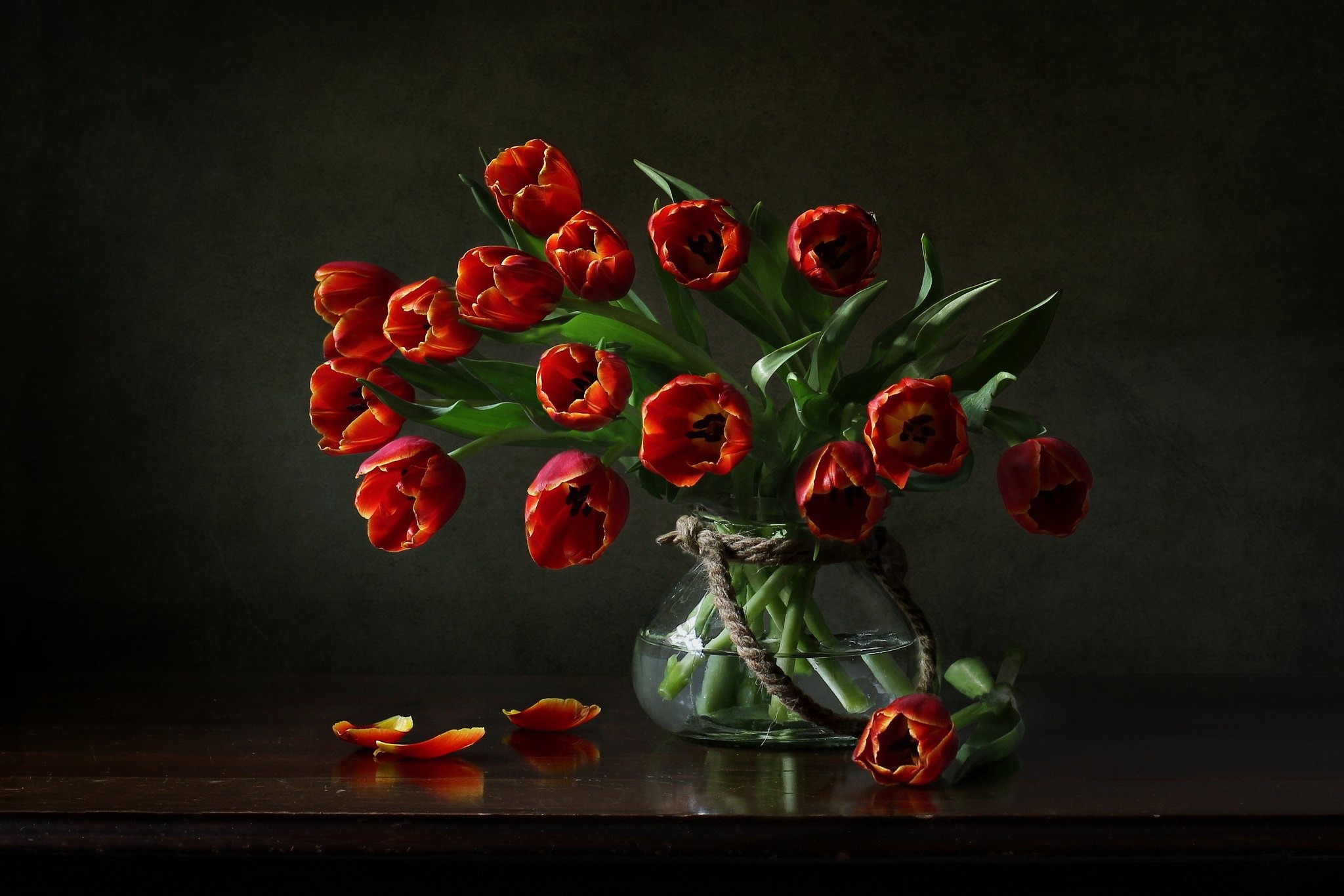 Red tulips in a glass vase with fallen petals HD Wallpaper