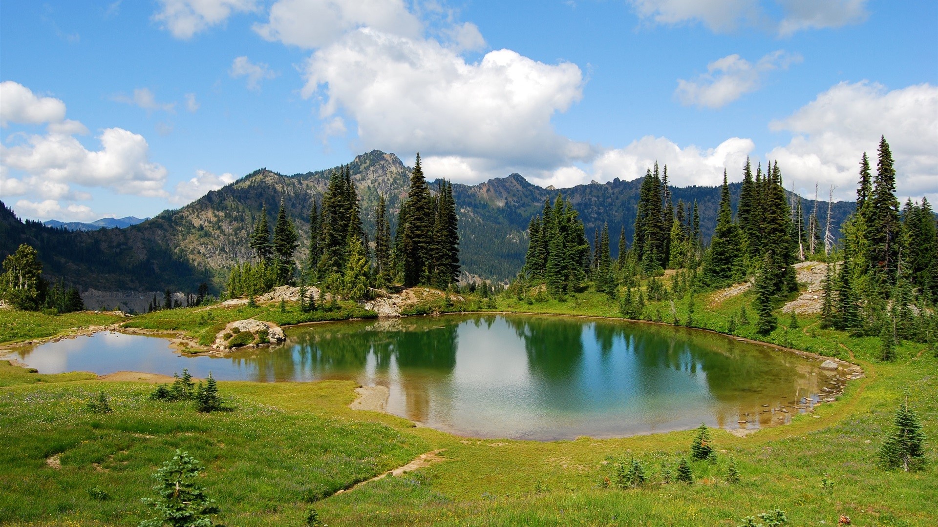 Mountain landscape with a lake and evergreen trees HD Wallpaper