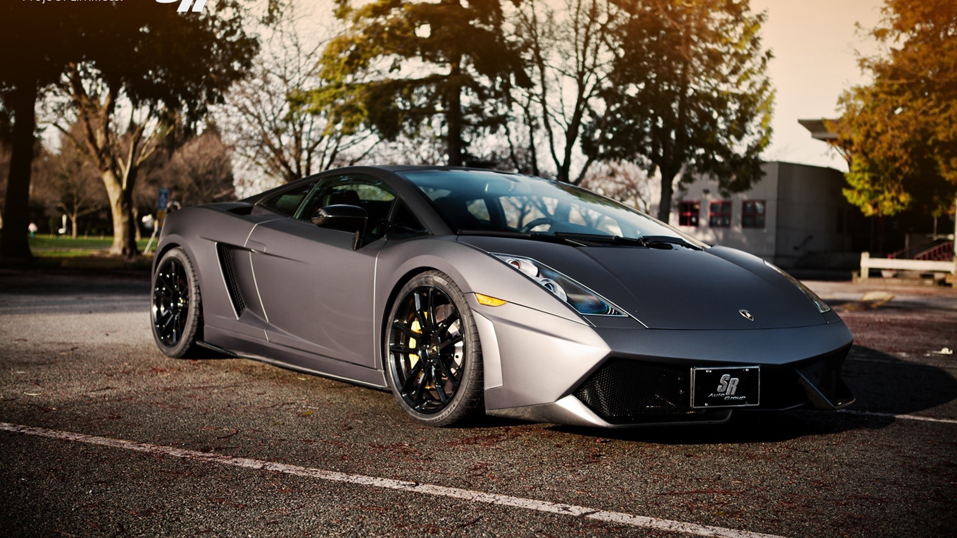 Gray Lamborghini Gallardo parked on asphalt near trees HD Wallpaper