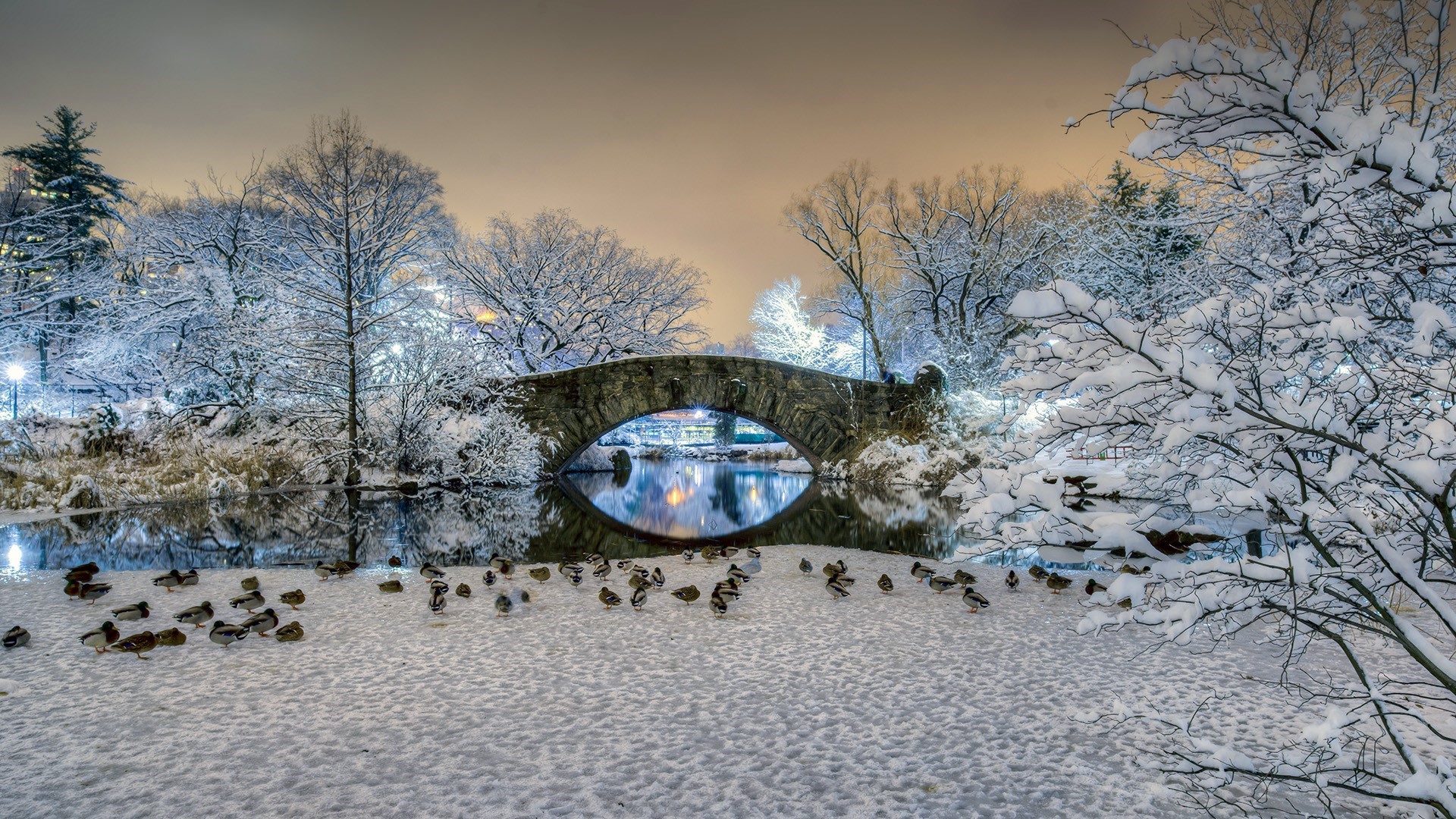 Gapstow Bridge in Central Park, New York City during winter HD Wallpaper