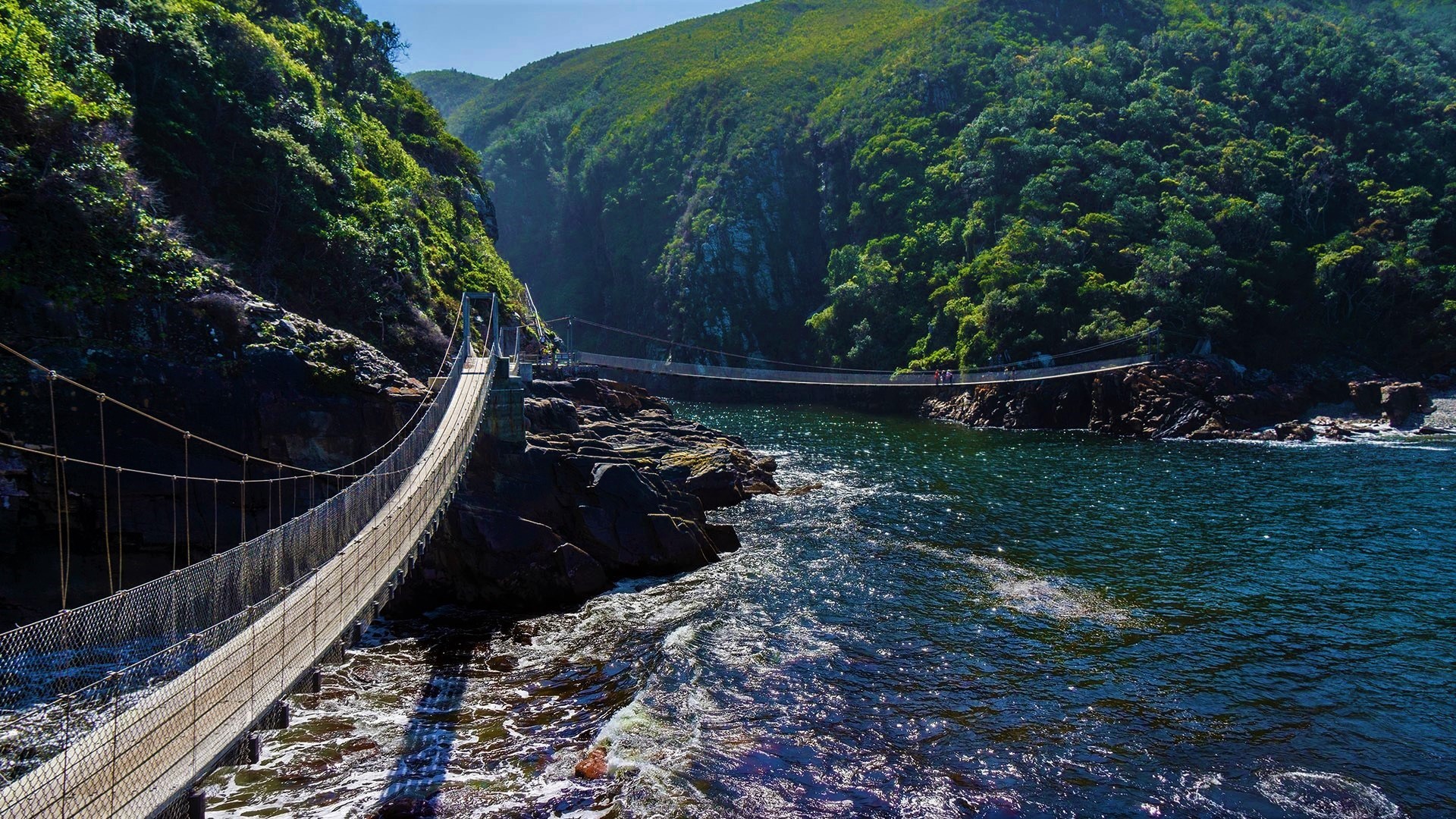 Suspension bridges over a river in Tsitsikamma National Park, South Africa HD Wallpaper