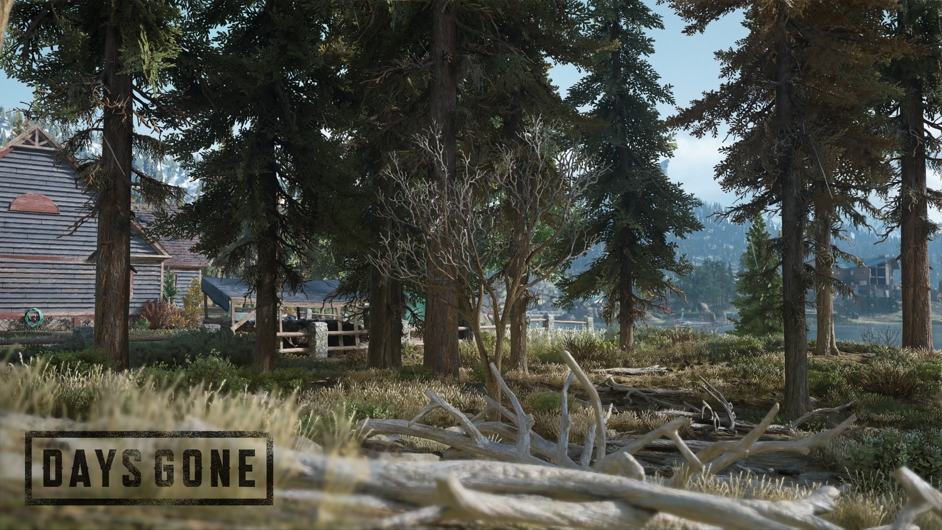 Days Gone video game scene HD Wallpaper