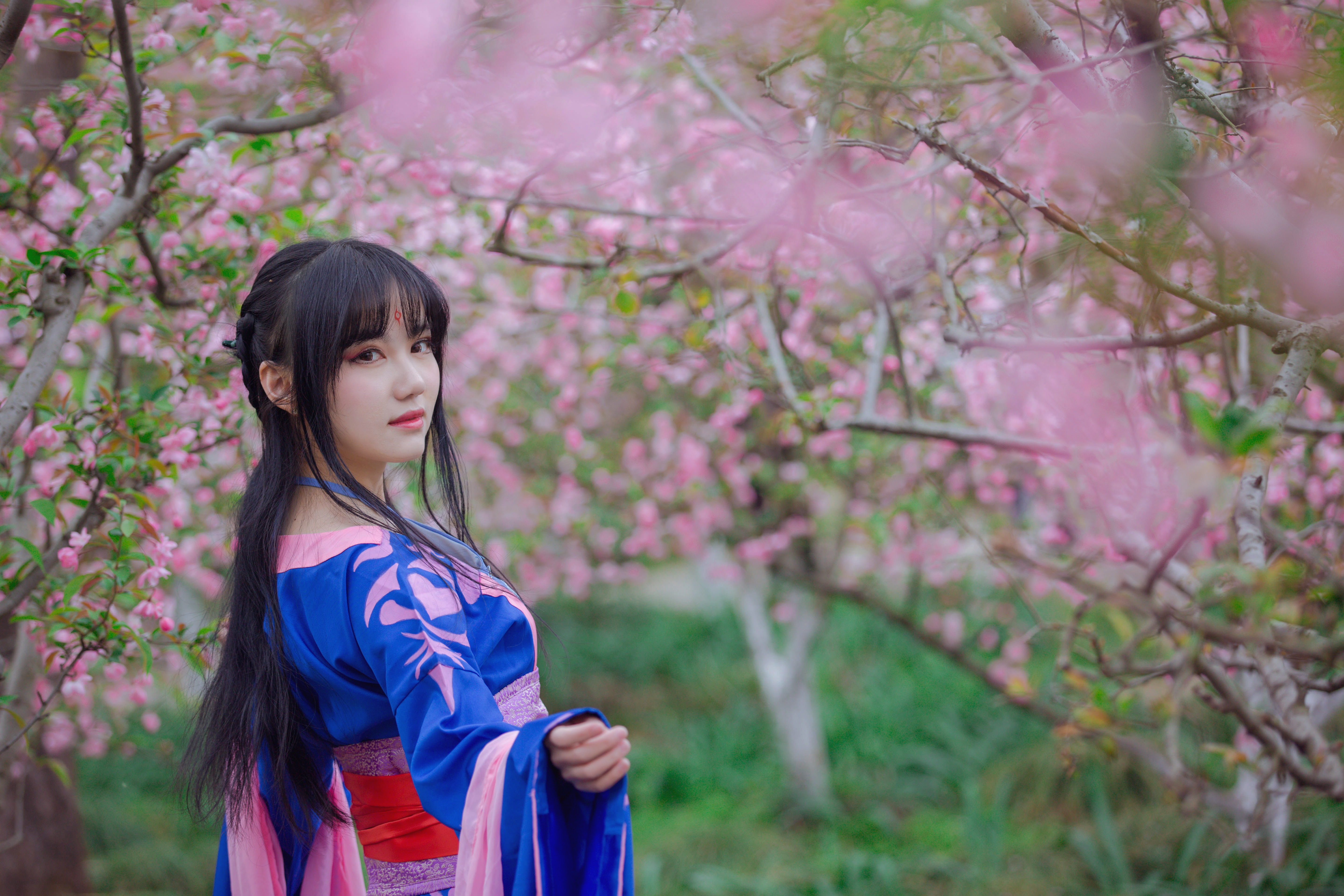 Asian Woman with Black Hair in Pink and Blue Kimono HD Wallpaper