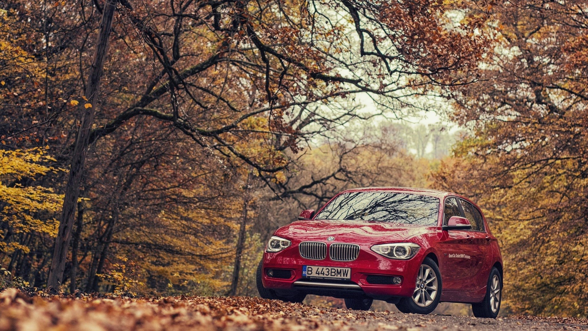 Red BMW 1 Series car in autumn forest HD Wallpaper