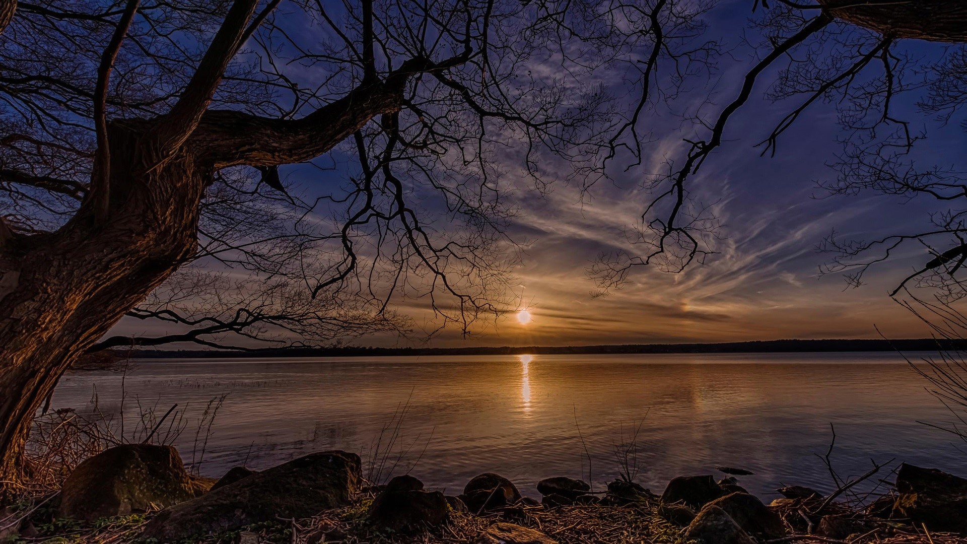 Sunset over a calm lake with silhouetted trees HD Wallpaper