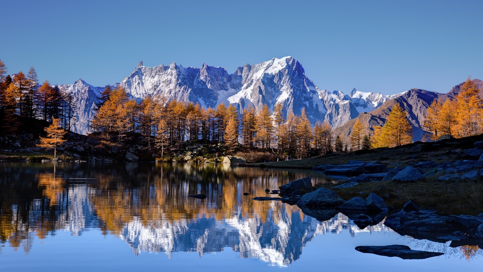 Autumn trees and snowy mountains reflected in a lake HD Wallpaper