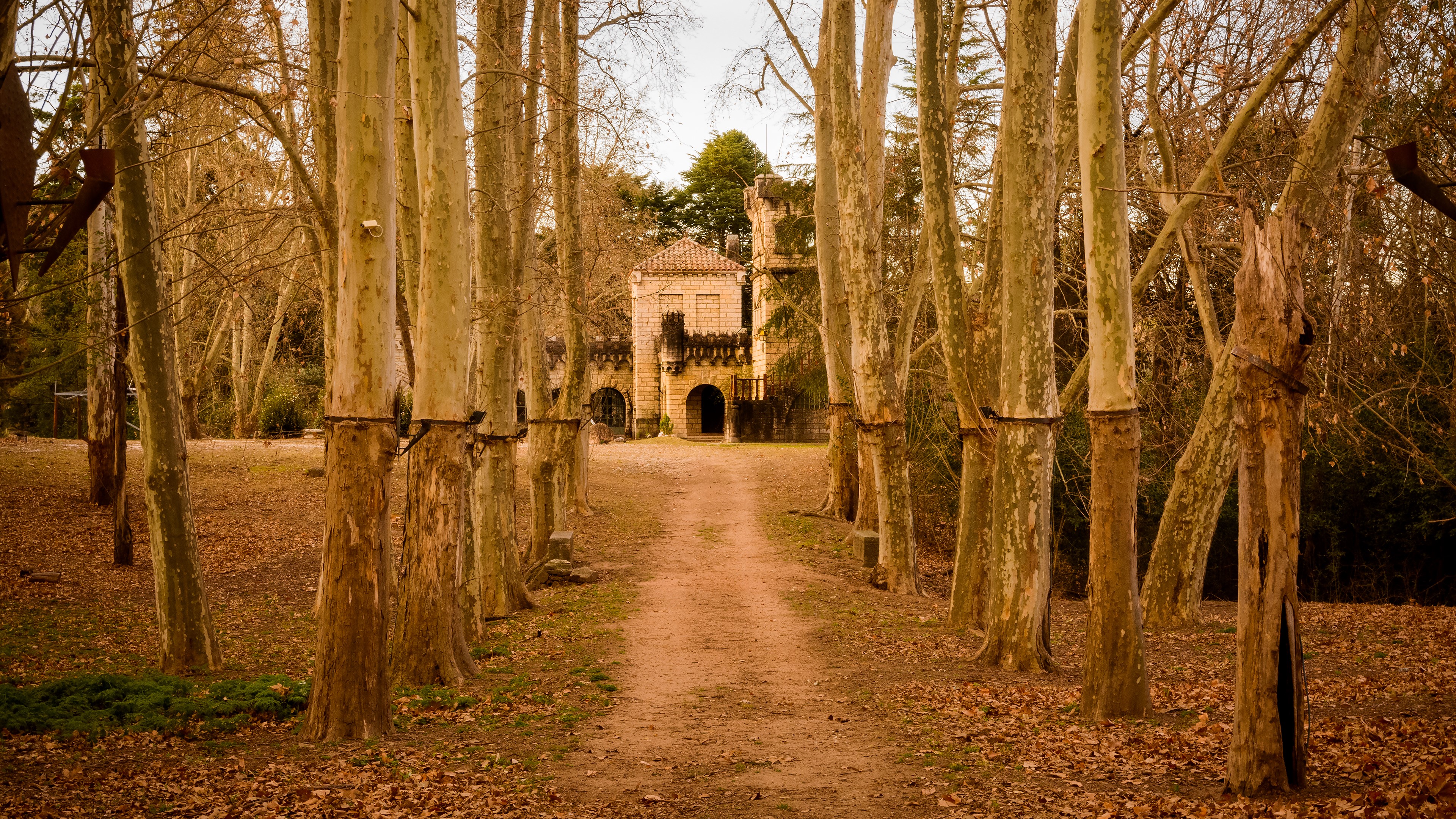 Stone house with archway and trees HD Wallpaper