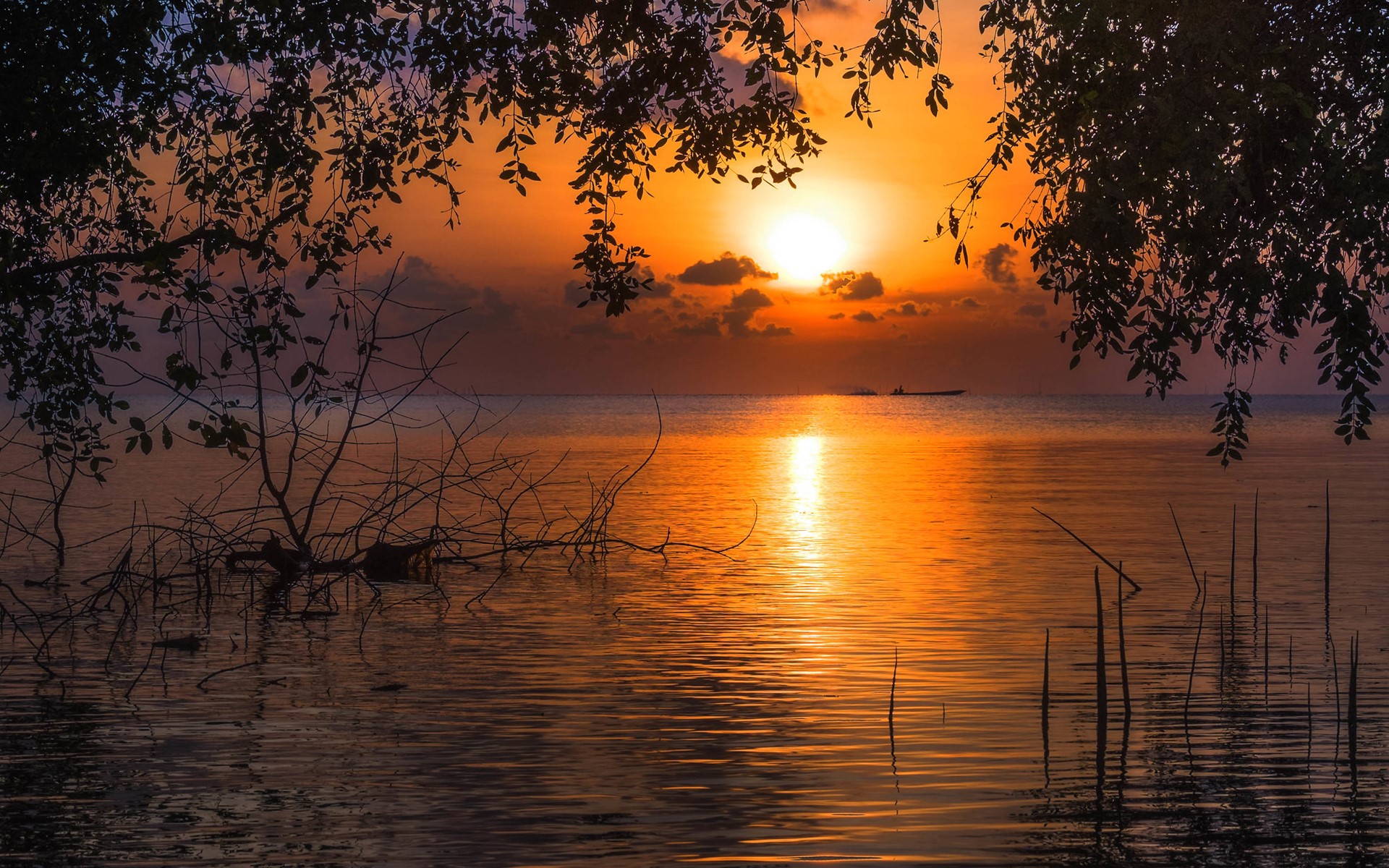 Sunset over a calm lake with silhouetted trees HD Wallpaper
