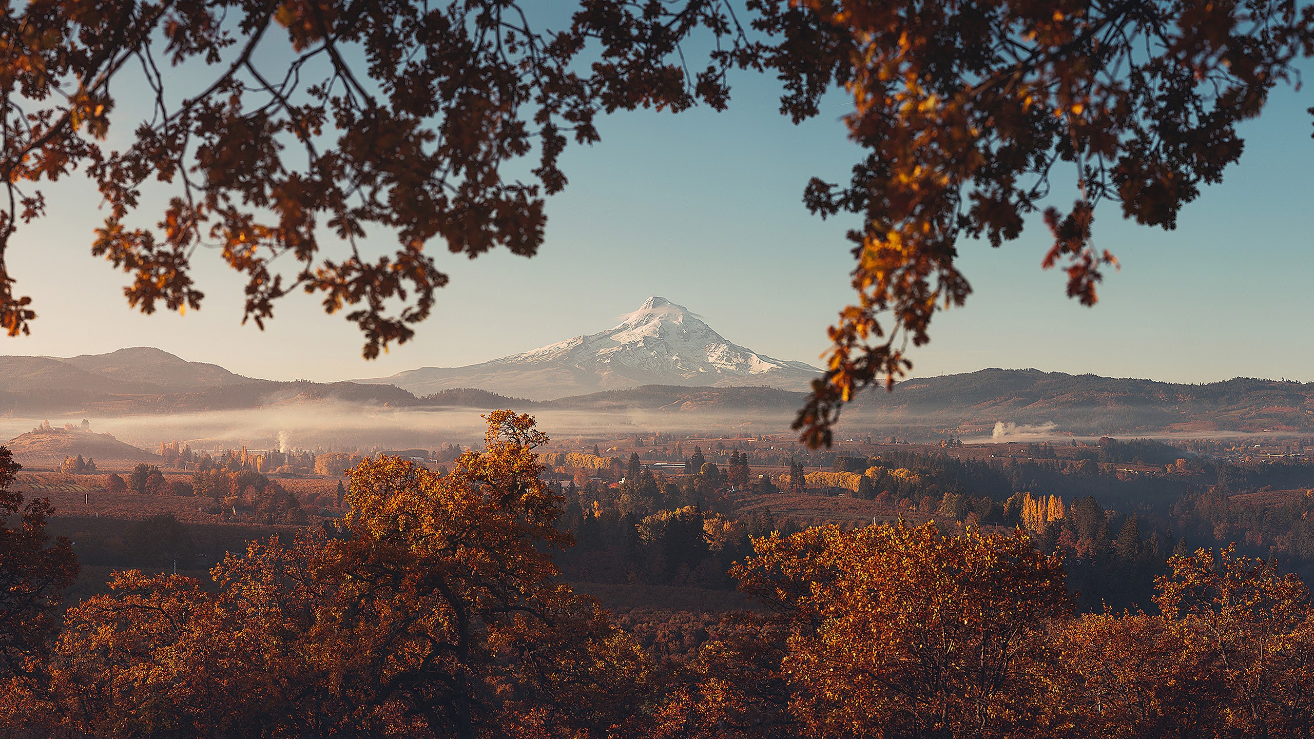 Snow-capped mountain over autumn forest and valley HD Wallpaper