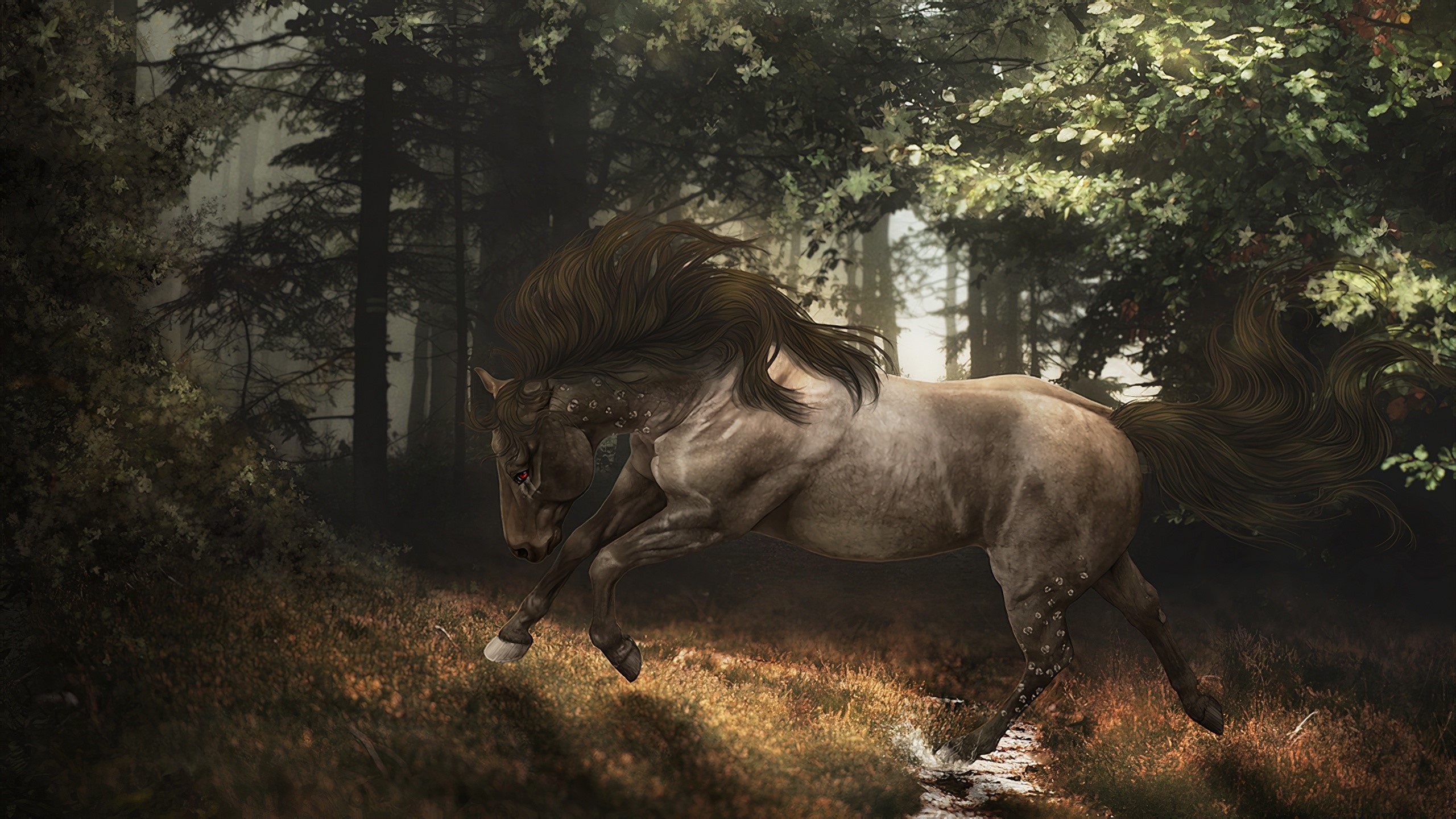 Horse running through a sunlit forest HD Wallpaper