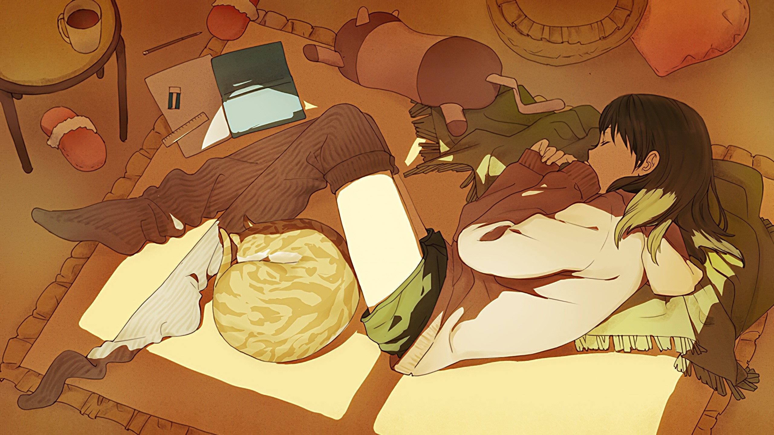 Anime girl sleeping with cat and plush toy HD Wallpaper