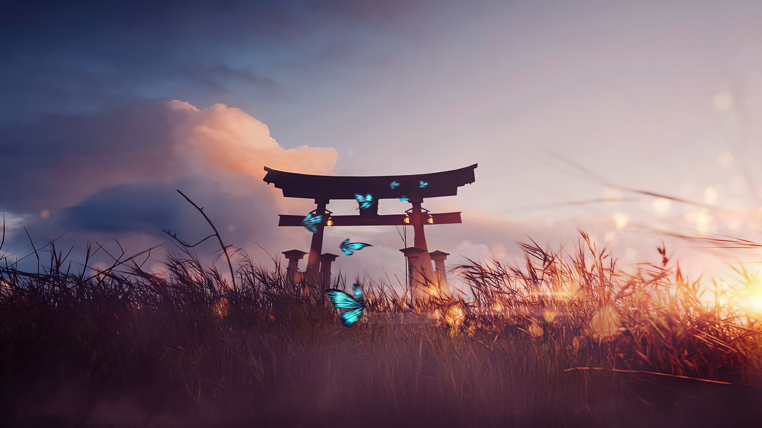 Torii gate with butterflies in tall grass at sunset HD Wallpaper