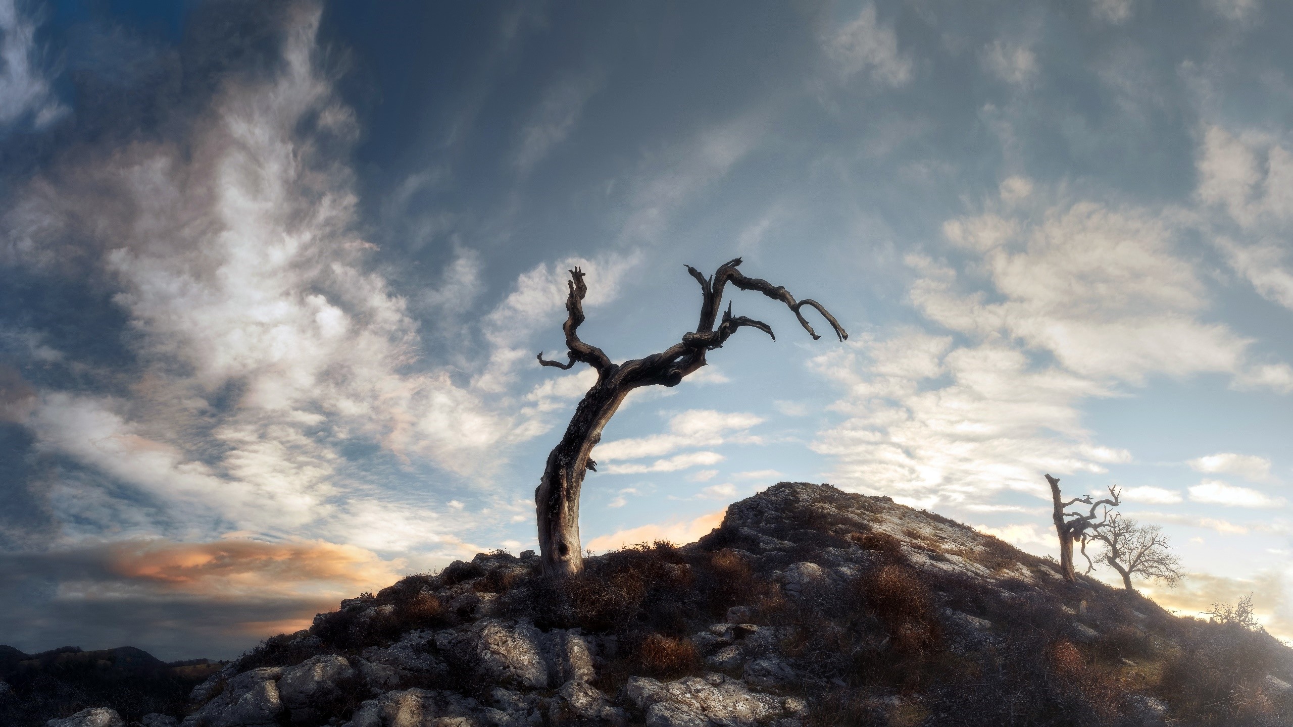 Dead trees on a rocky hill under a cloudy sky HD Wallpaper