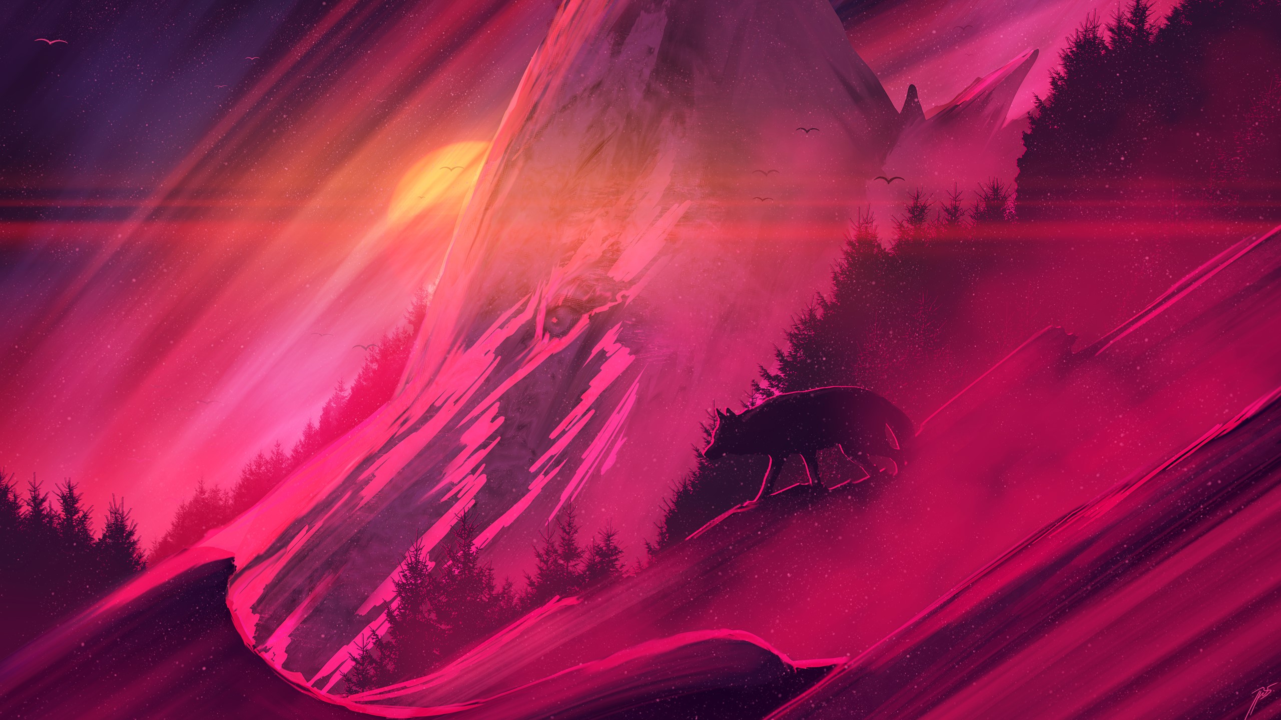 Wolf walking on a mountain during sunset HD Wallpaper