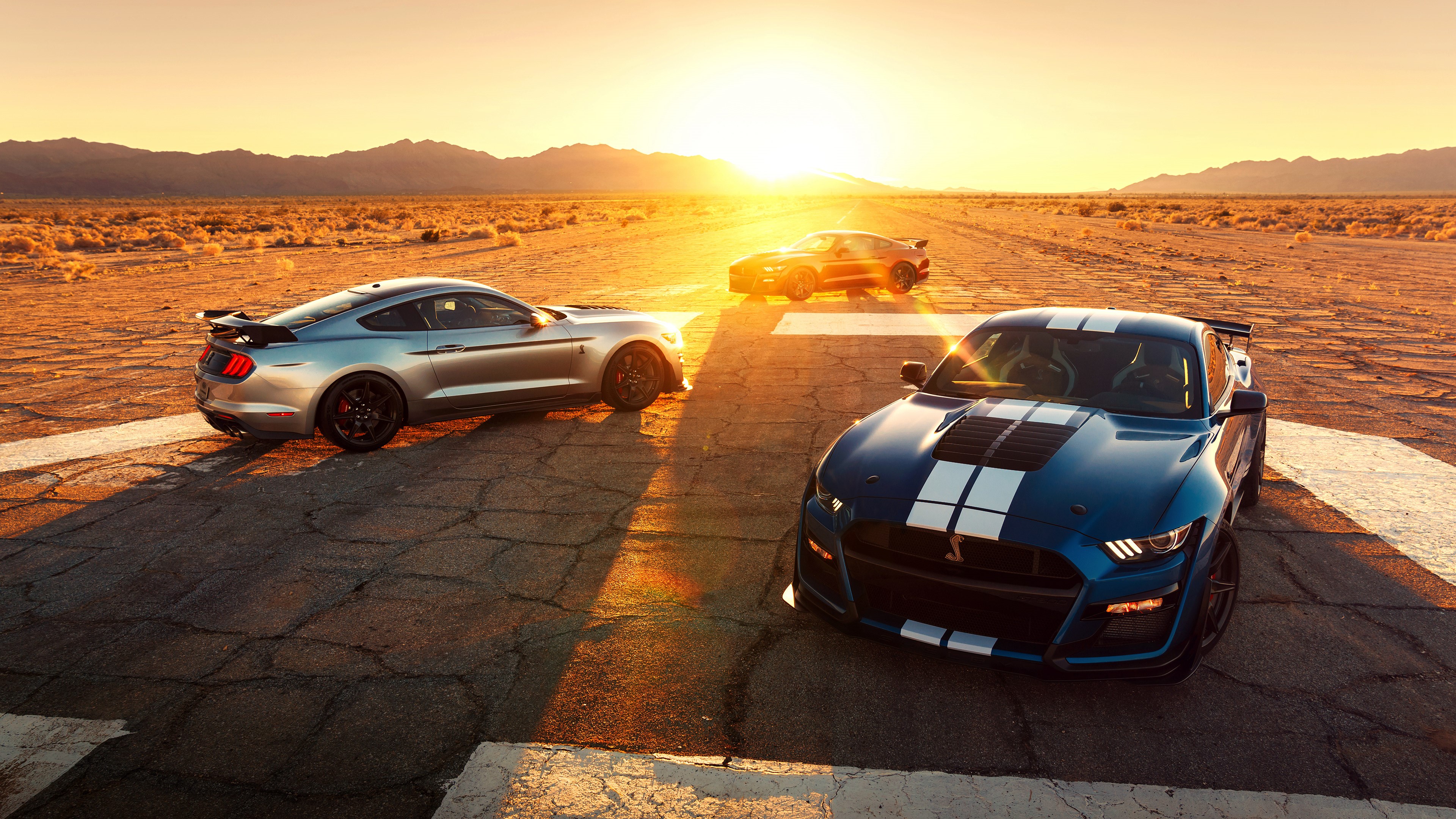 4K Ford Mustang Shelby GT500 cars at sunset HD Wallpaper