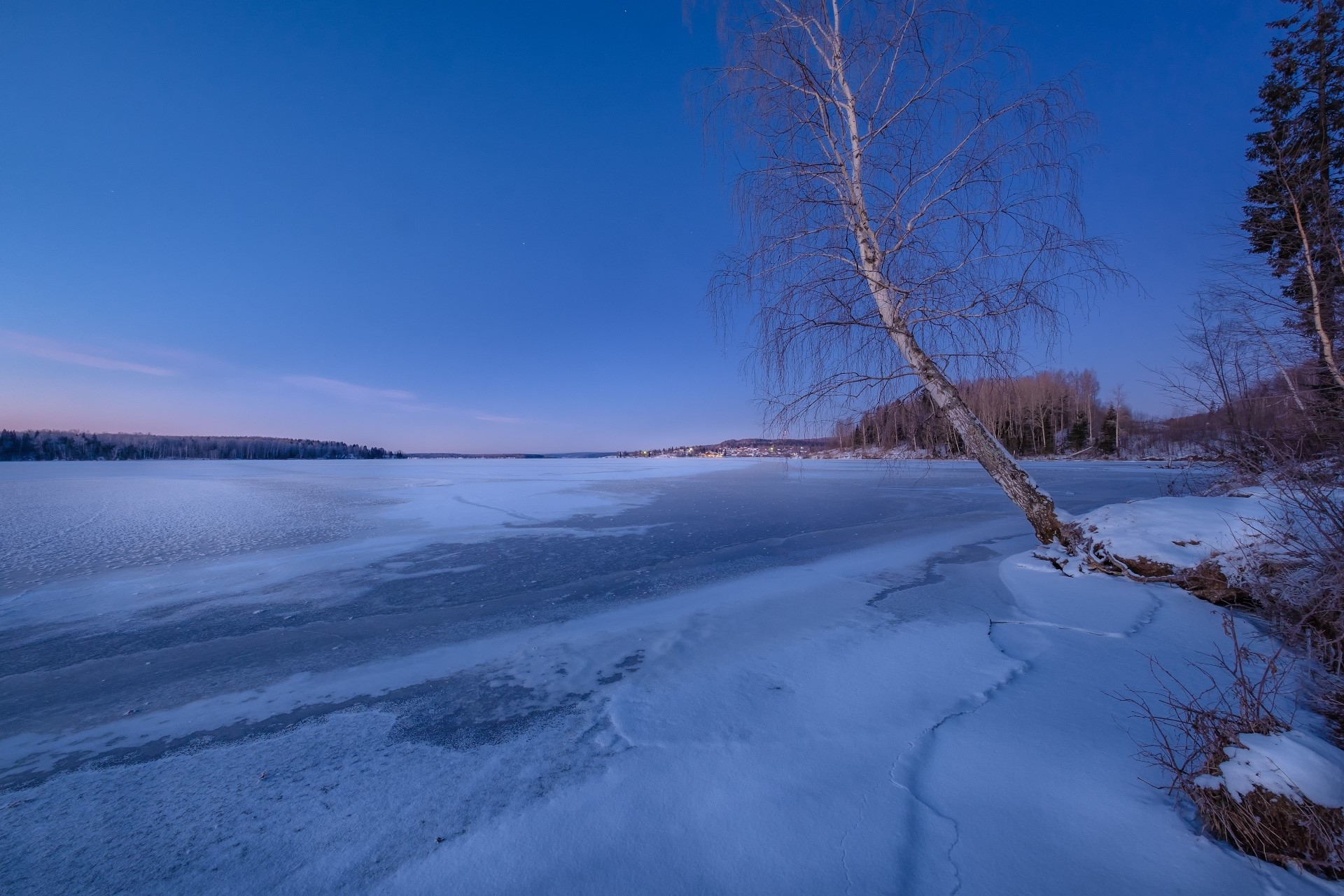 Frozen lake and birch tree at twilight HD Wallpaper