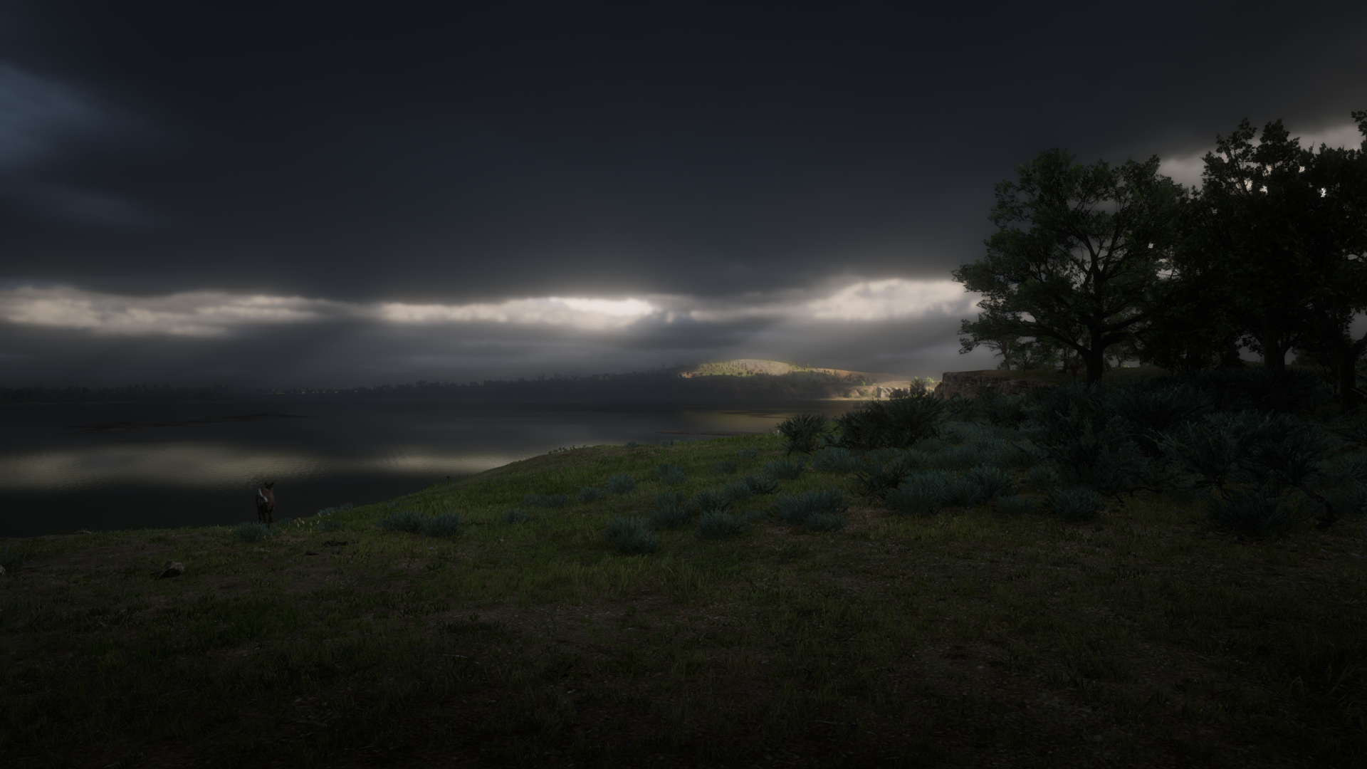 Red Dead Redemption 2 screenshot HD Wallpaper