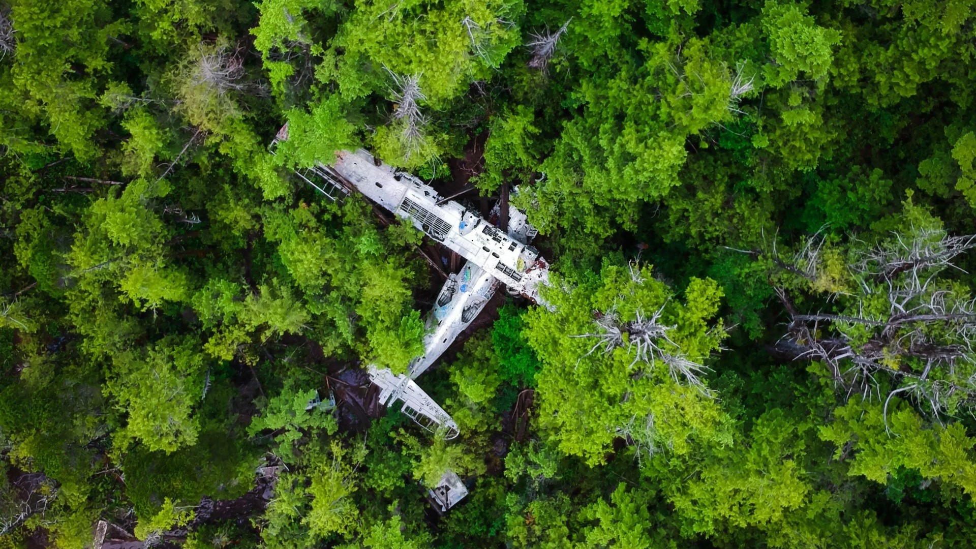 Overhead view of a crashed airplane in a dense forest HD Wallpaper