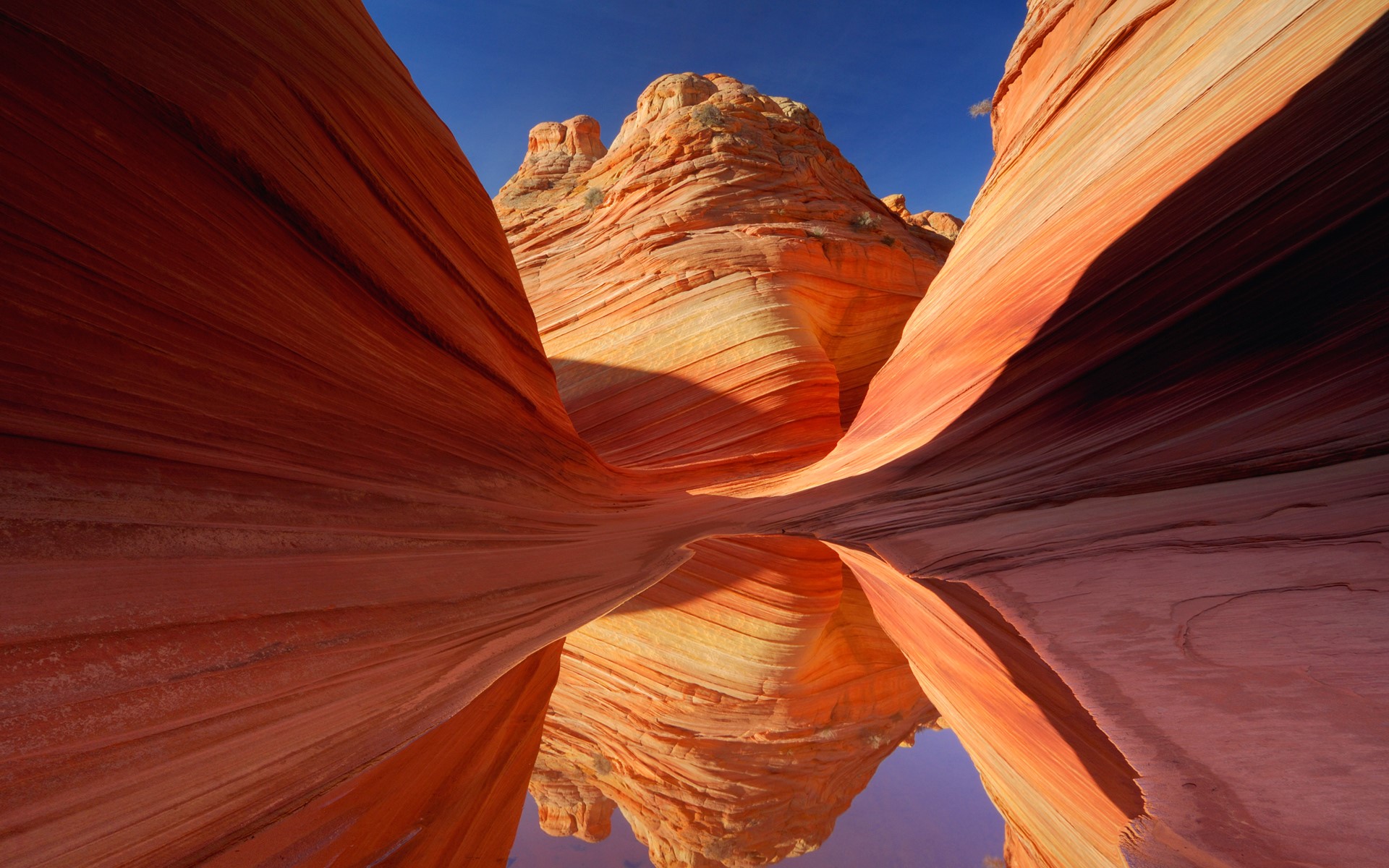 The Wave rock formation with reflection in water HD Wallpaper