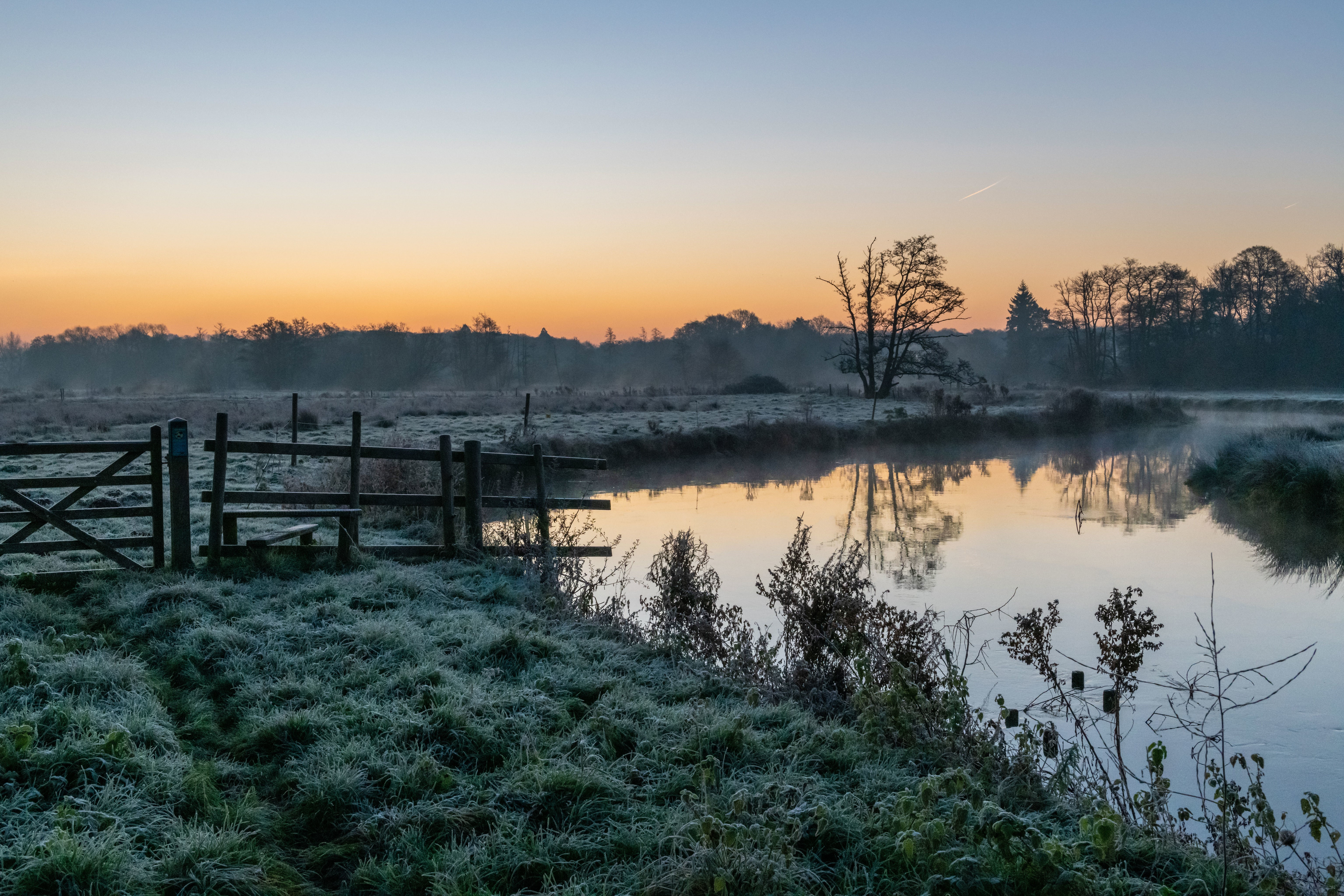 Winter morning at Thundry Meadows, Surrey, England HD Wallpaper