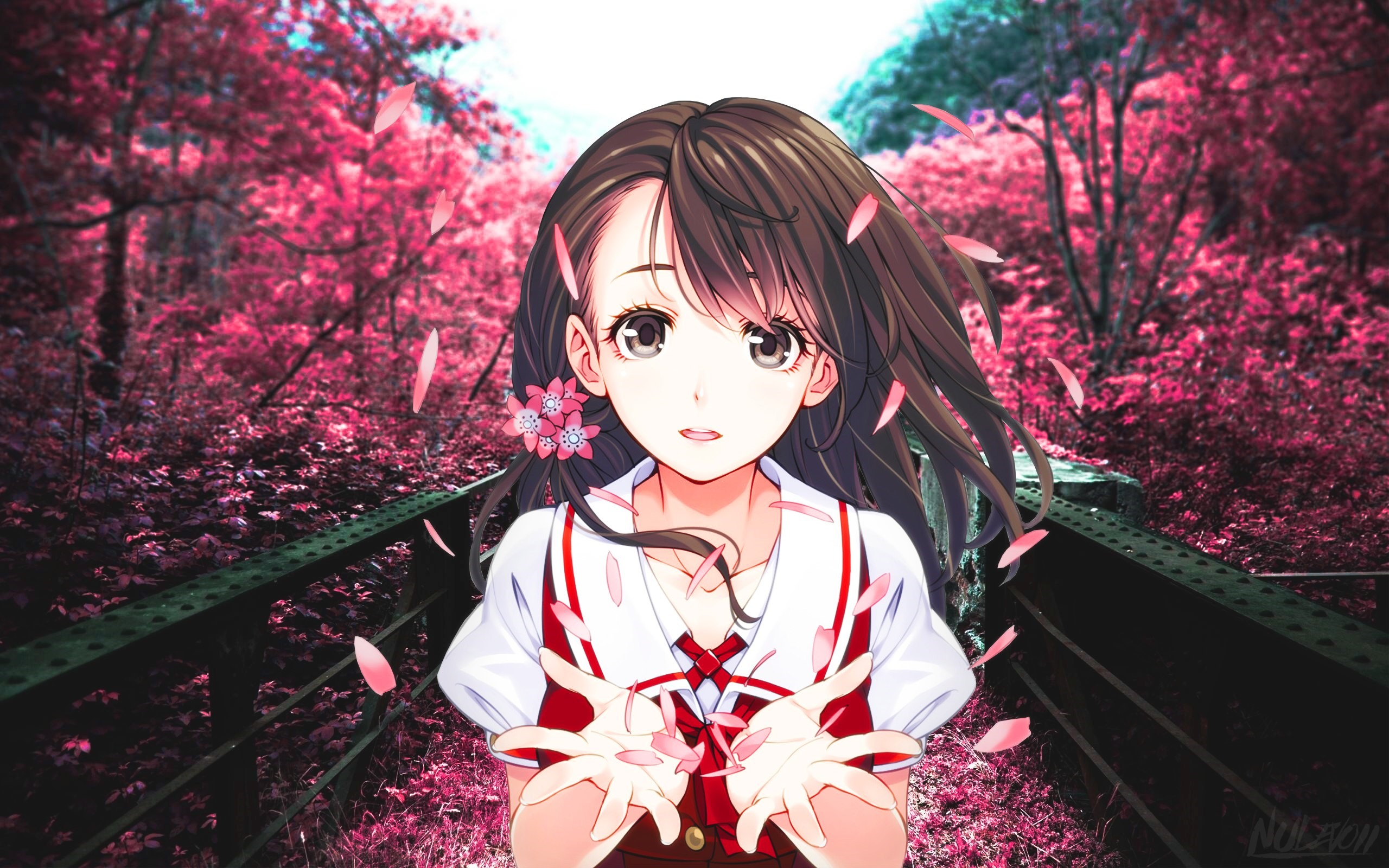Anime girl with cherry blossoms falling HD Wallpaper