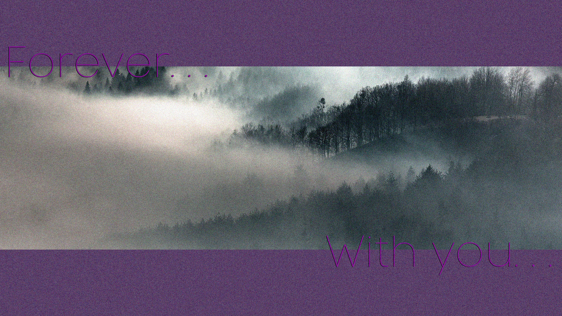 Foggy forest with text overlay HD Wallpaper