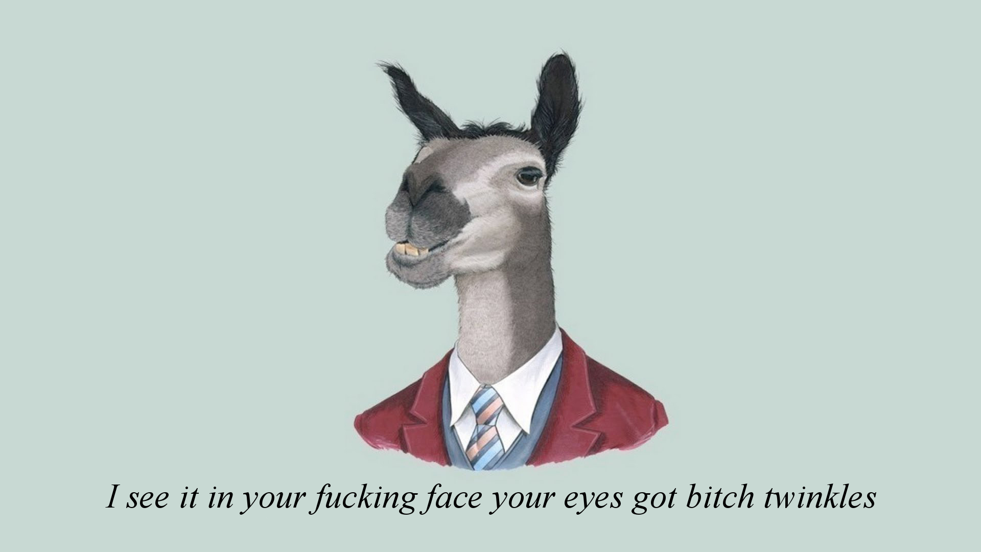 Llama in a suit with a quote HD Wallpaper