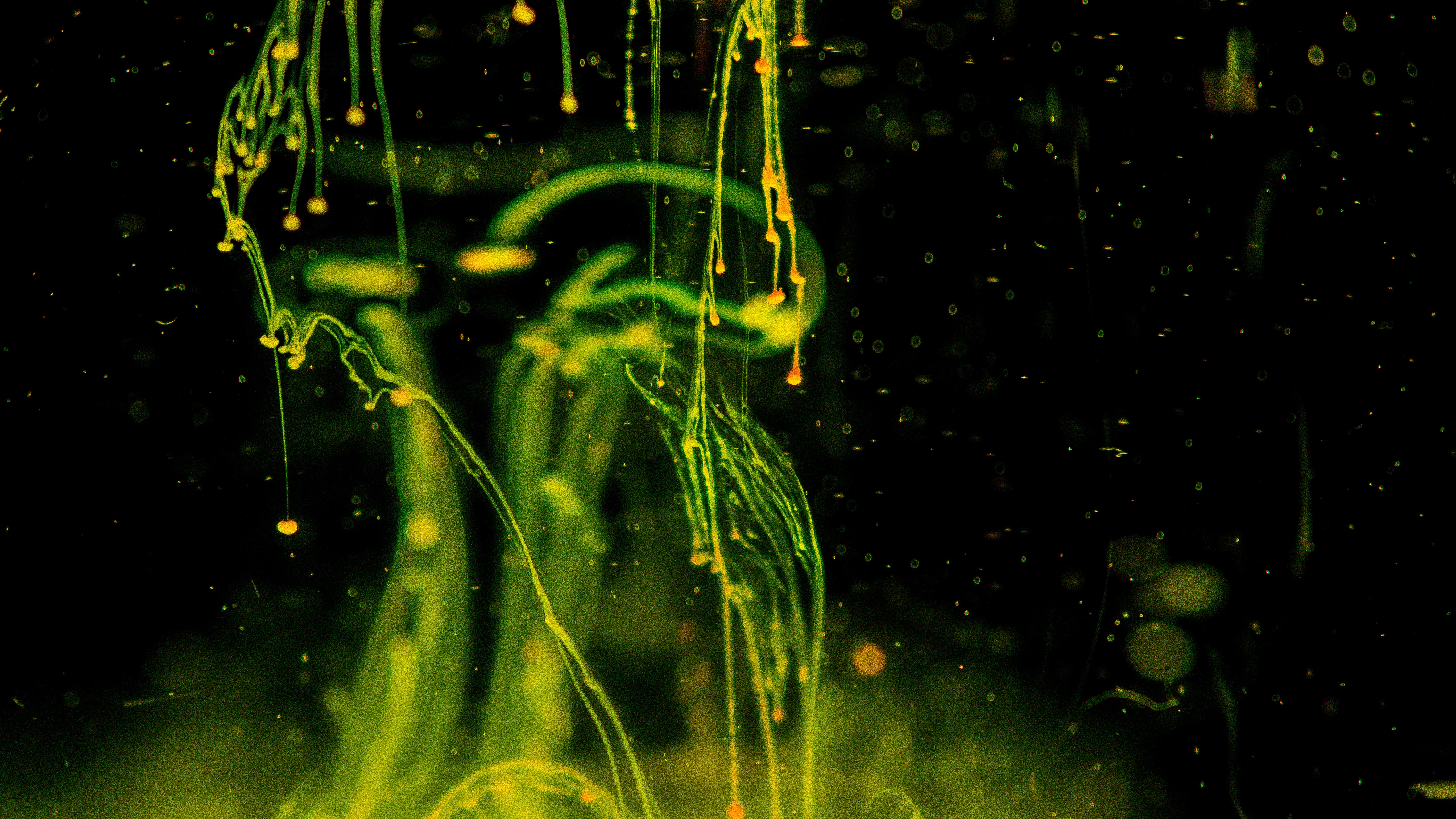 Abstract Green Ink Droplets in Water 4K HD Wallpaper