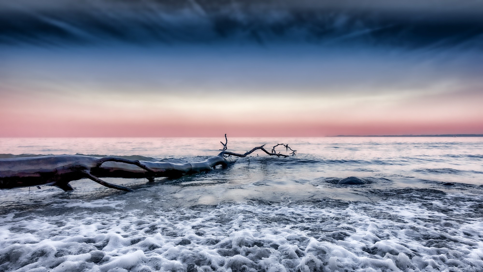 Driftwood on the shore at sunrise HD Wallpaper