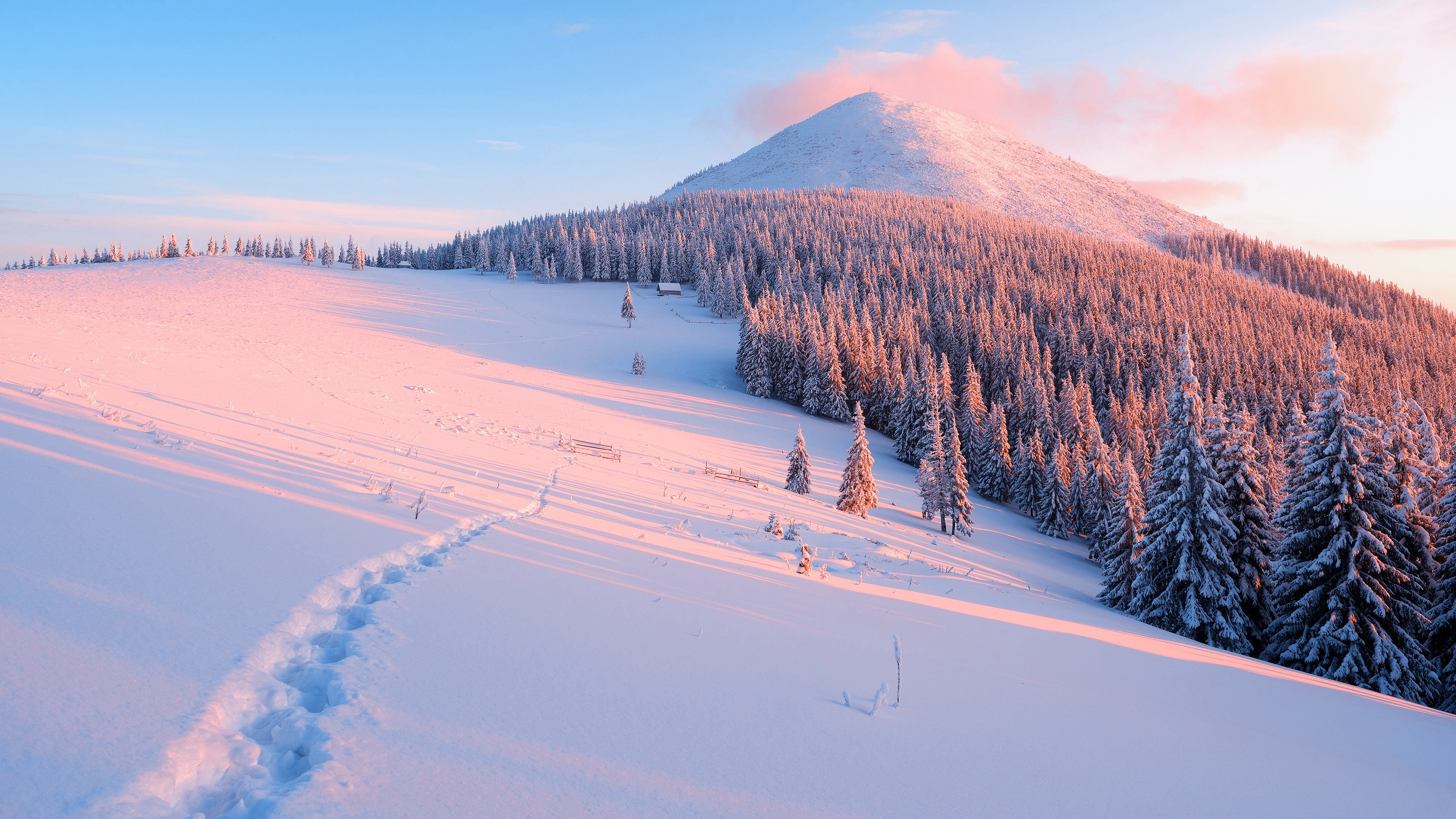 Snowy mountain landscape with pine forest at sunrise HD Wallpaper