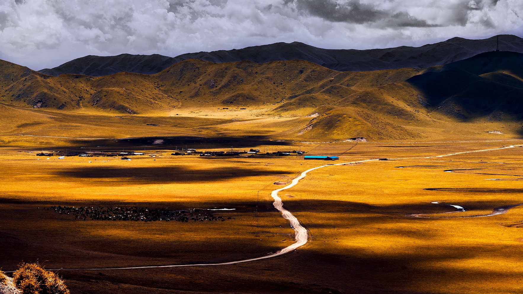 Golden grassland landscape with mountains and a dirt road HD Wallpaper