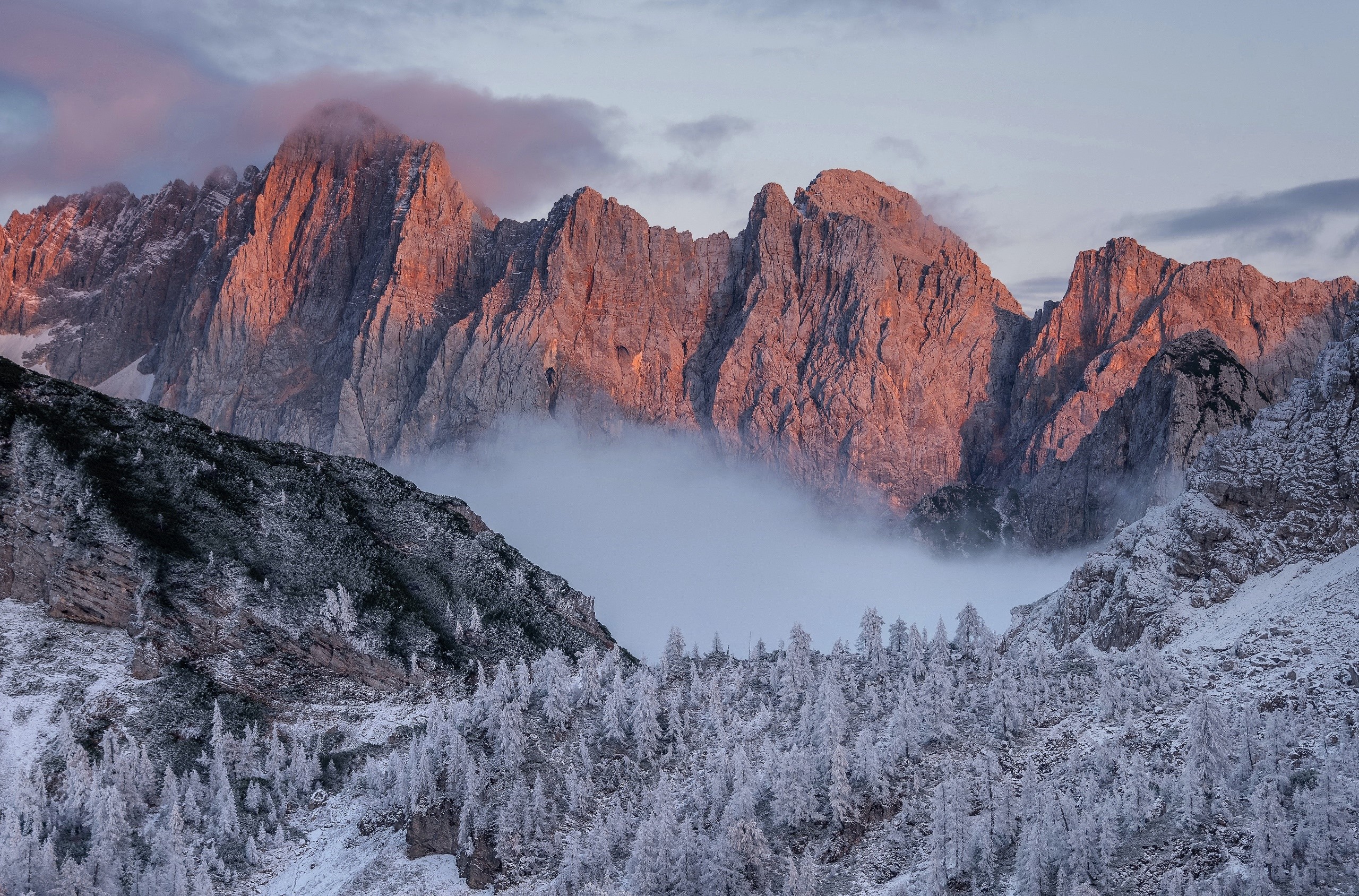 Winter mountain landscape with snowy trees and fog HD Wallpaper