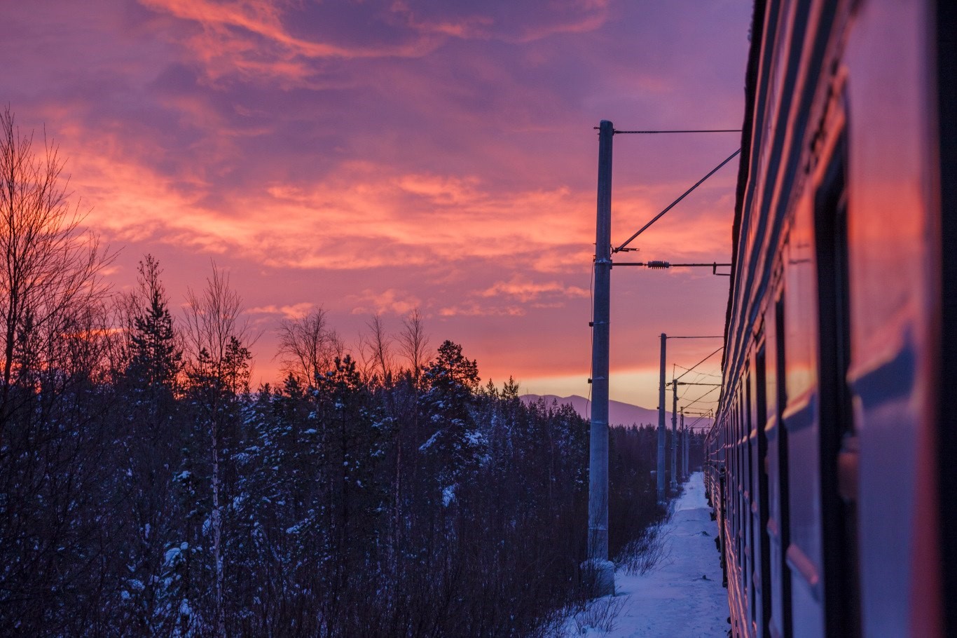 Train traveling through a snowy forest at sunset HD Wallpaper