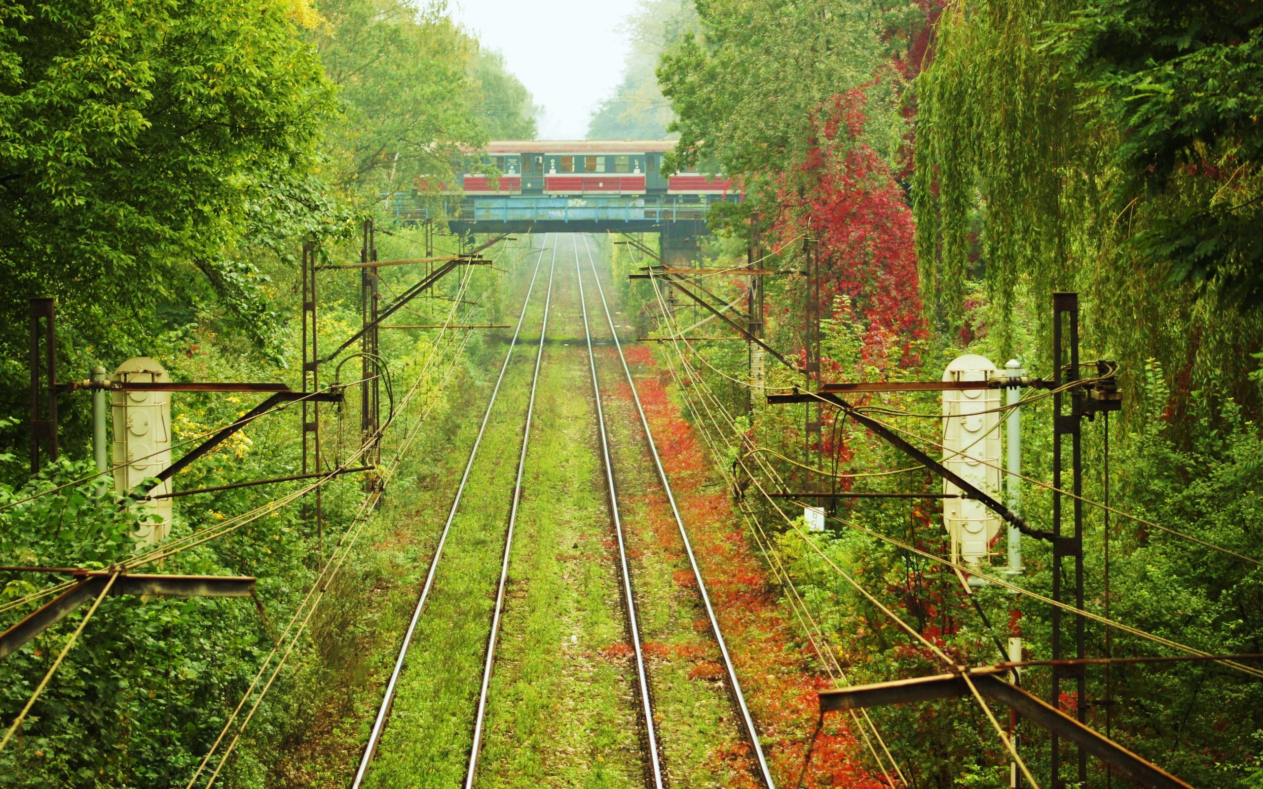 Train crossing a bridge over railway tracks surrounded by trees HD Wallpaper