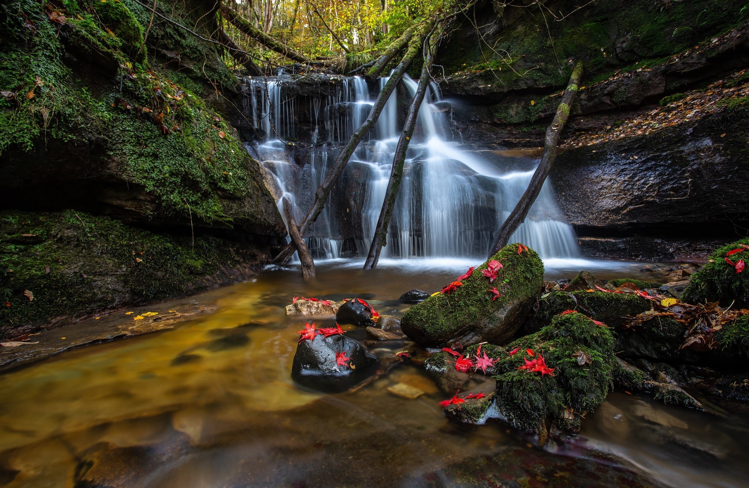 Waterfall in a mossy forest with red leaves HD Wallpaper