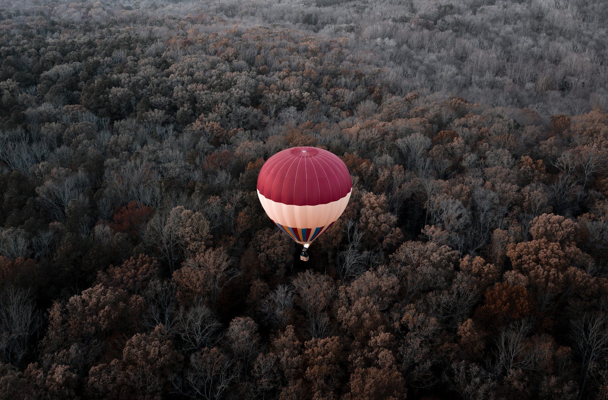 Hot air balloon over a forest HD Wallpaper