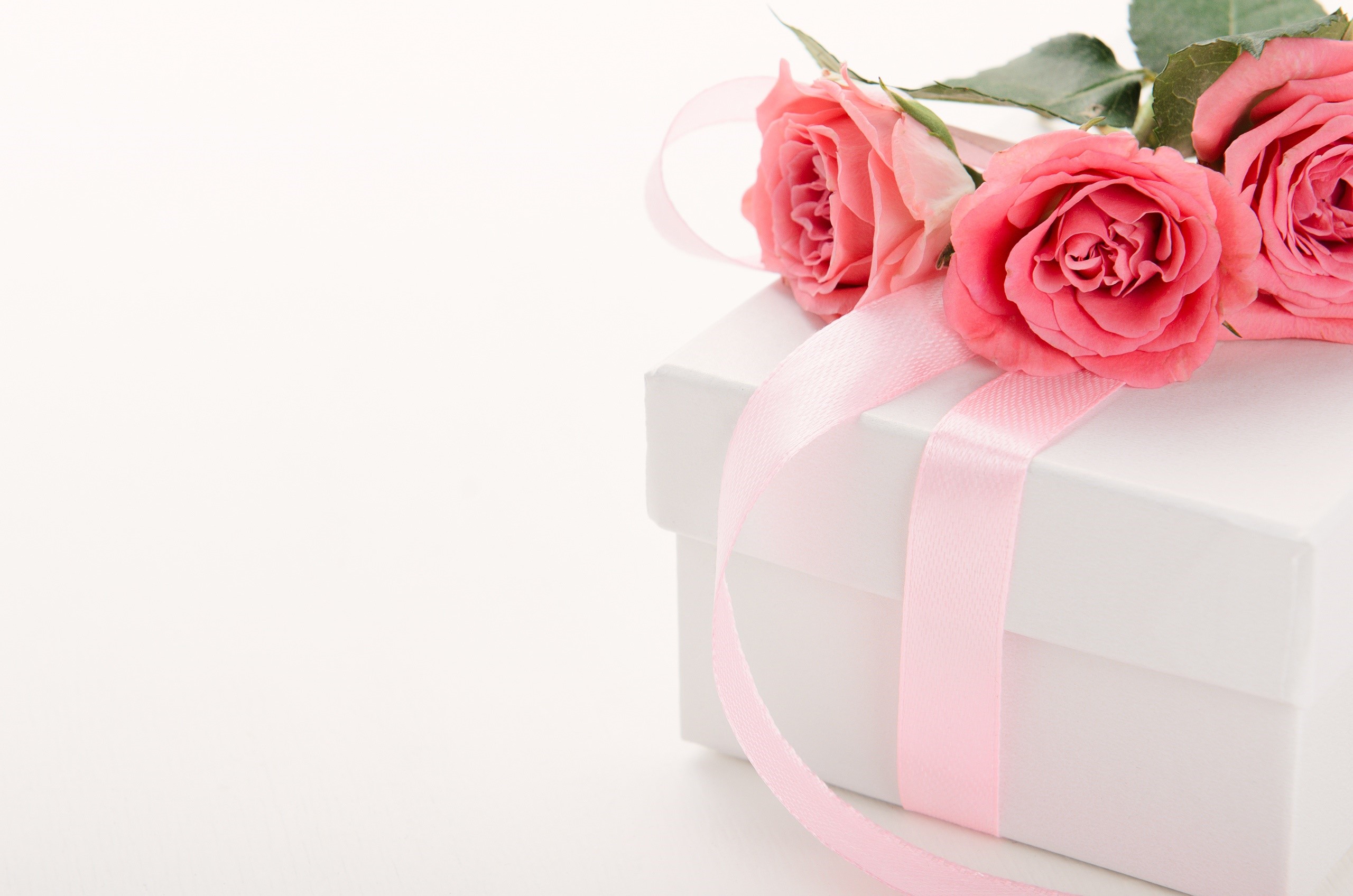 Pink roses on a white gift box with pink ribbon HD Wallpaper