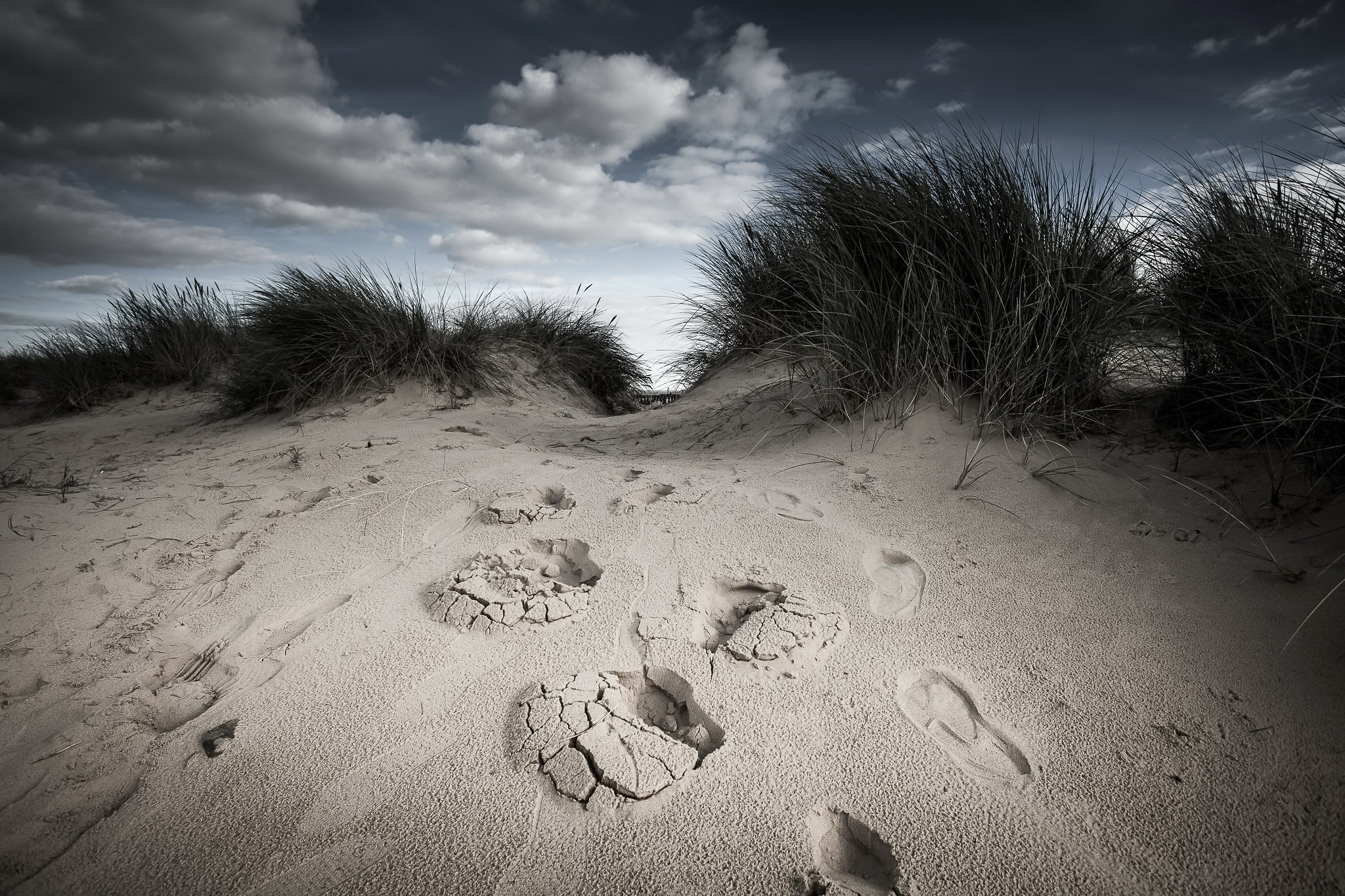 Footprints in sand dunes with tall grass and cloudy sky HD Wallpaper