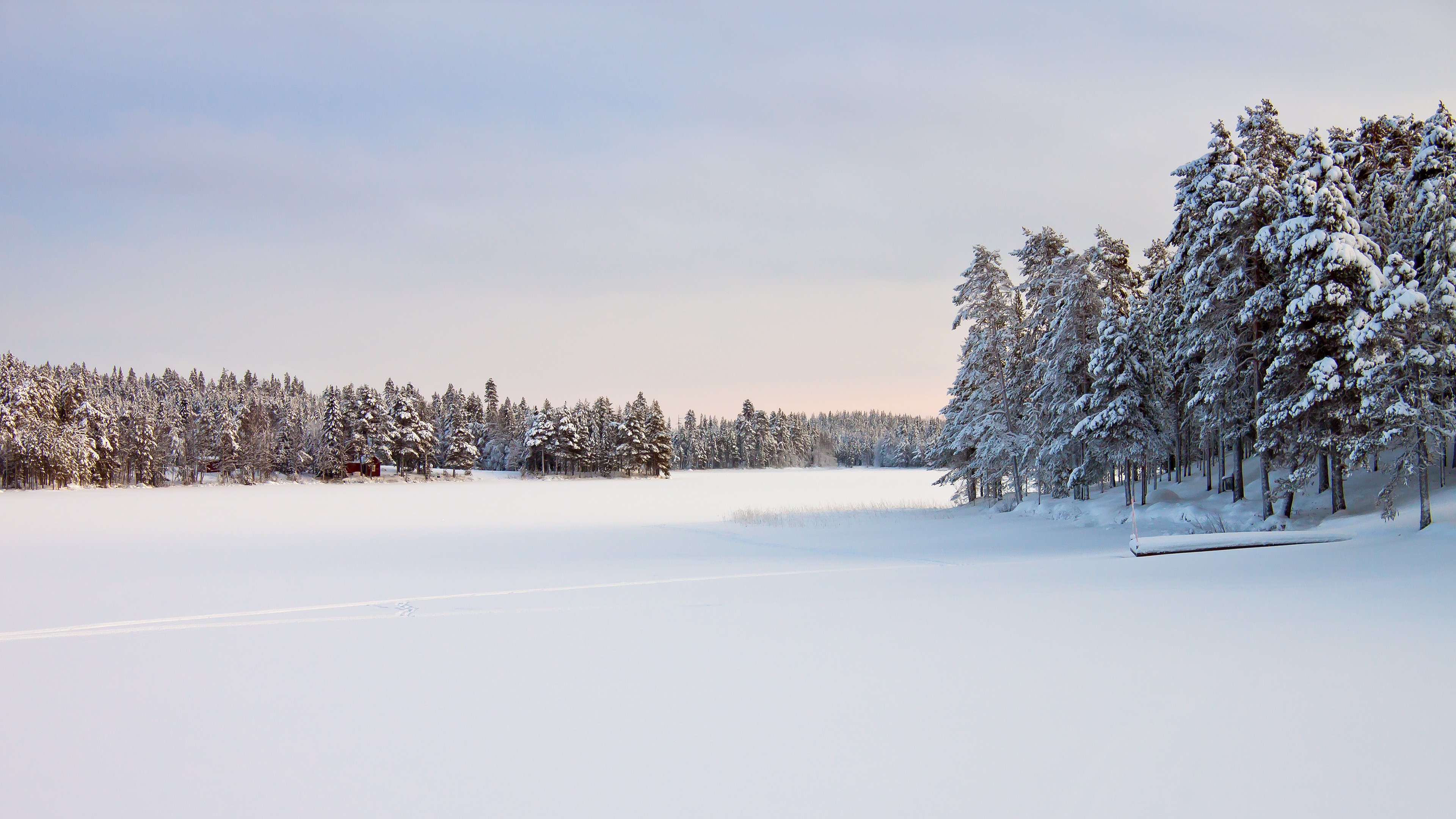 Winter landscape with snow-covered trees and frozen lake HD Wallpaper