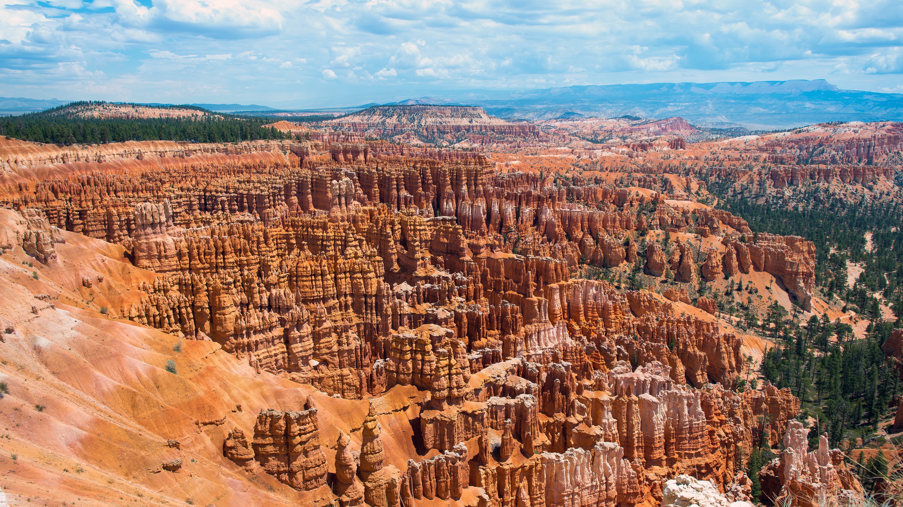 Bryce Canyon National Park Landscape with Hoodoos and Trees HD Wallpaper