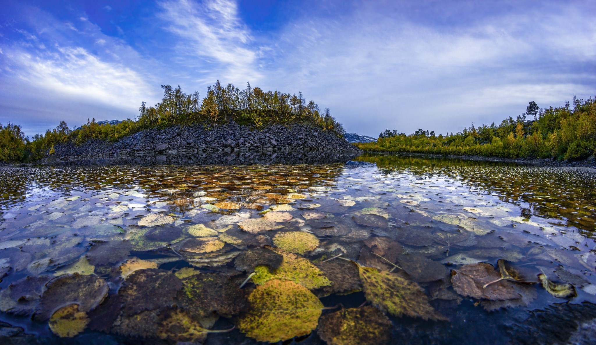 Autumn leaves floating on a calm lake with trees and rocks HD Wallpaper
