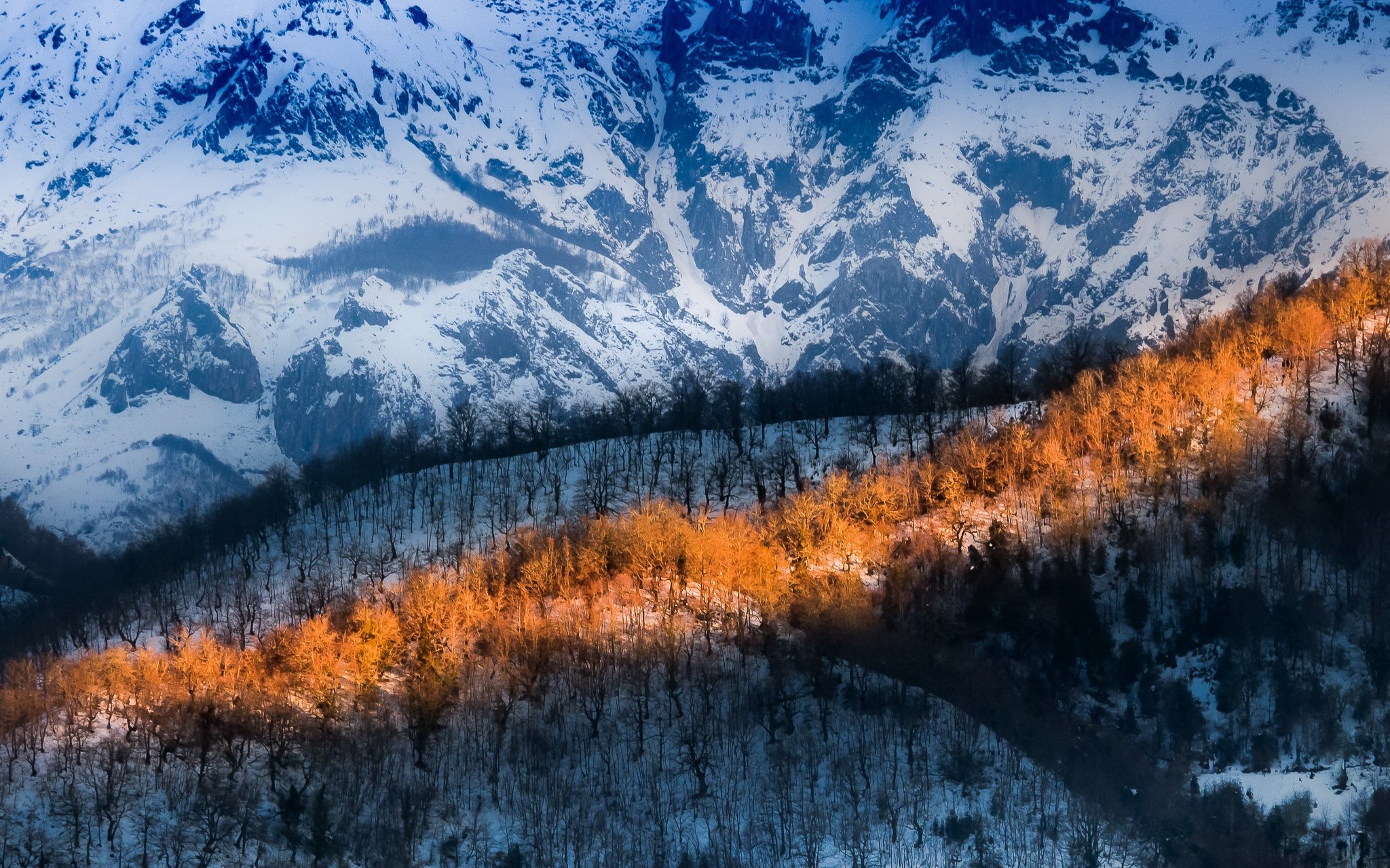 Snowy mountains with sunlit trees HD Wallpaper