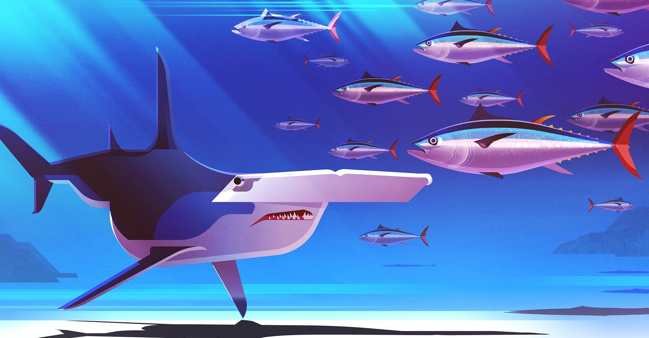 Hammerhead shark hunting tuna in the ocean HD Wallpaper